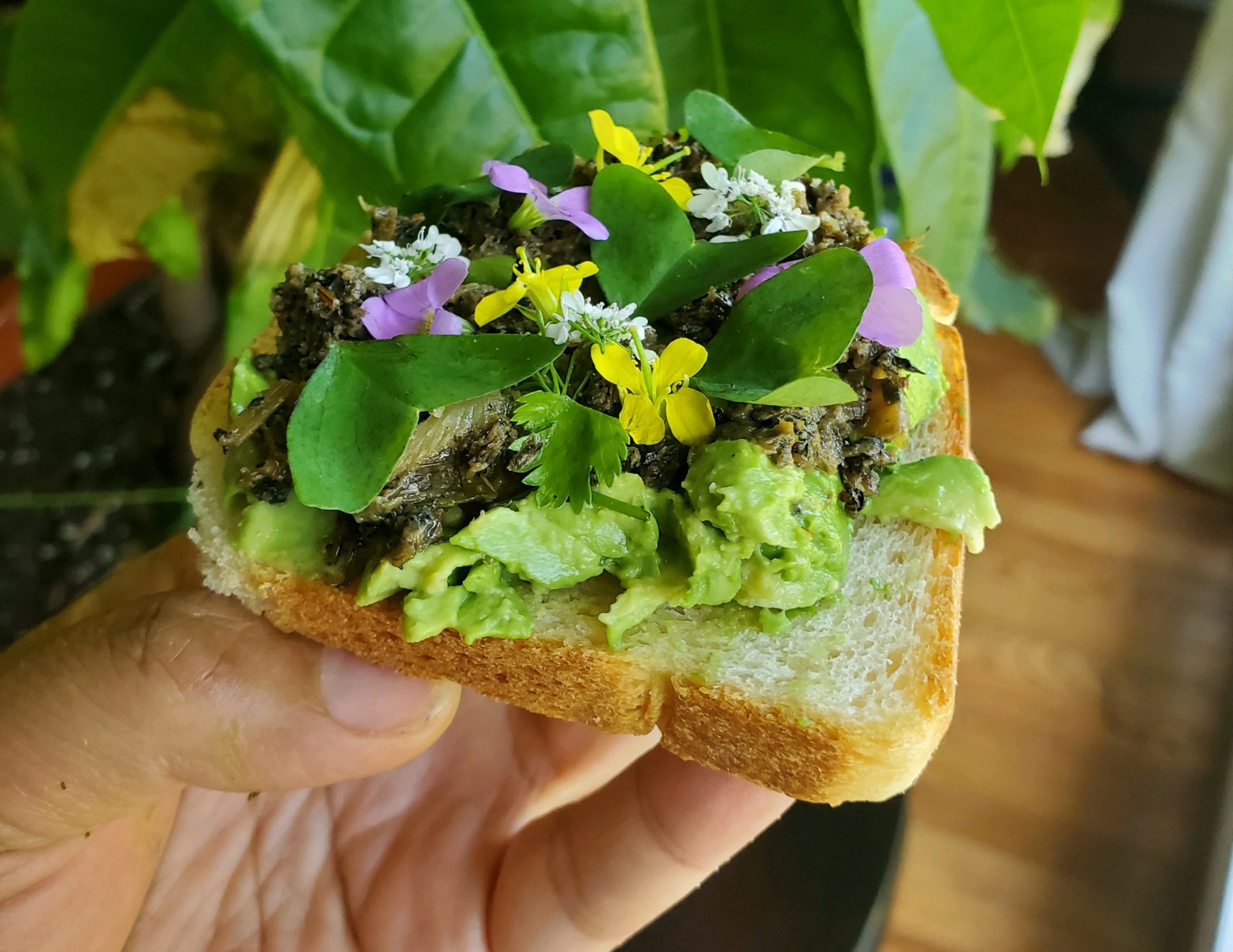 Avocado toast. Photo by Seng Luangrath.