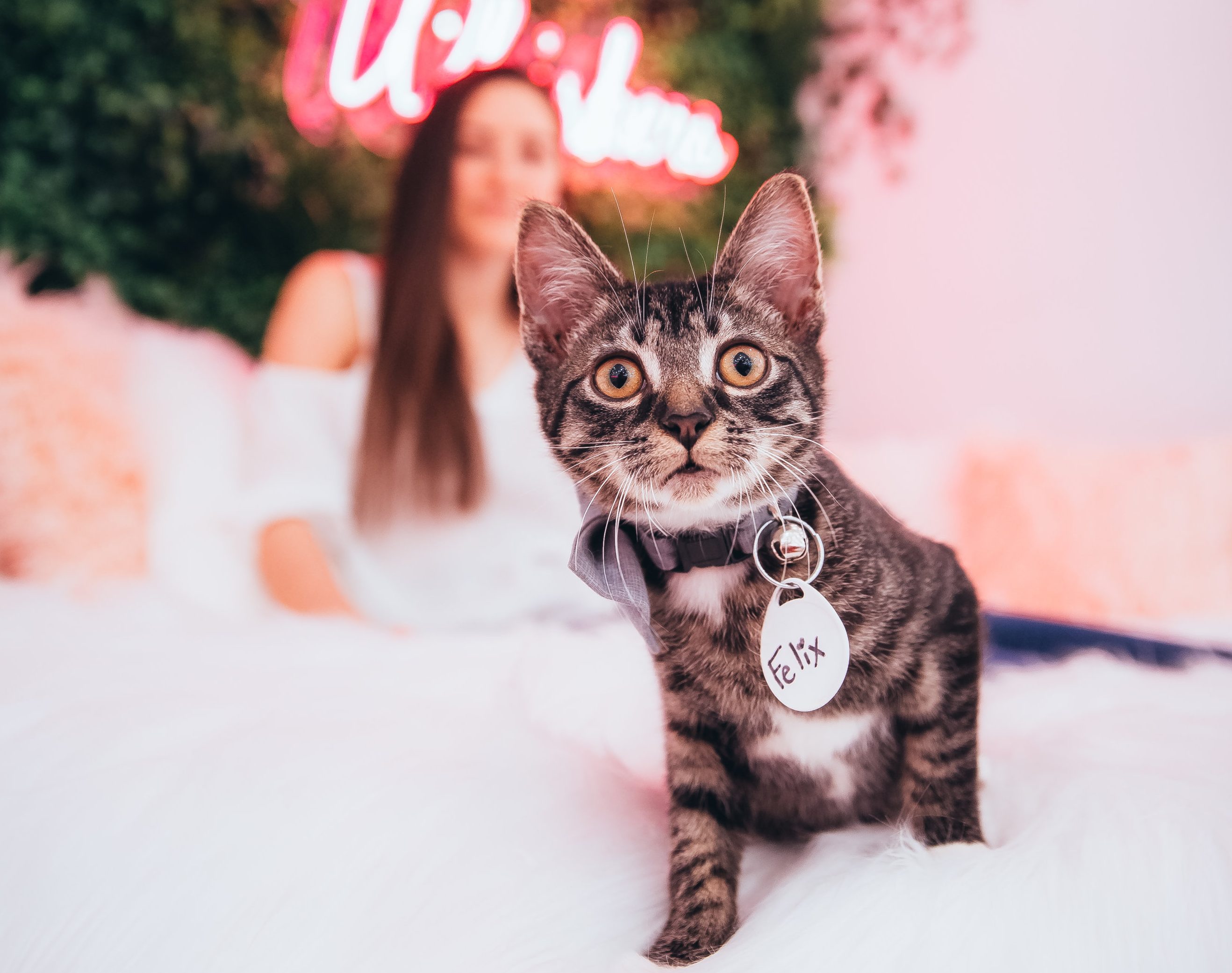 7_Crumbs&Whiskers - Washingtonian