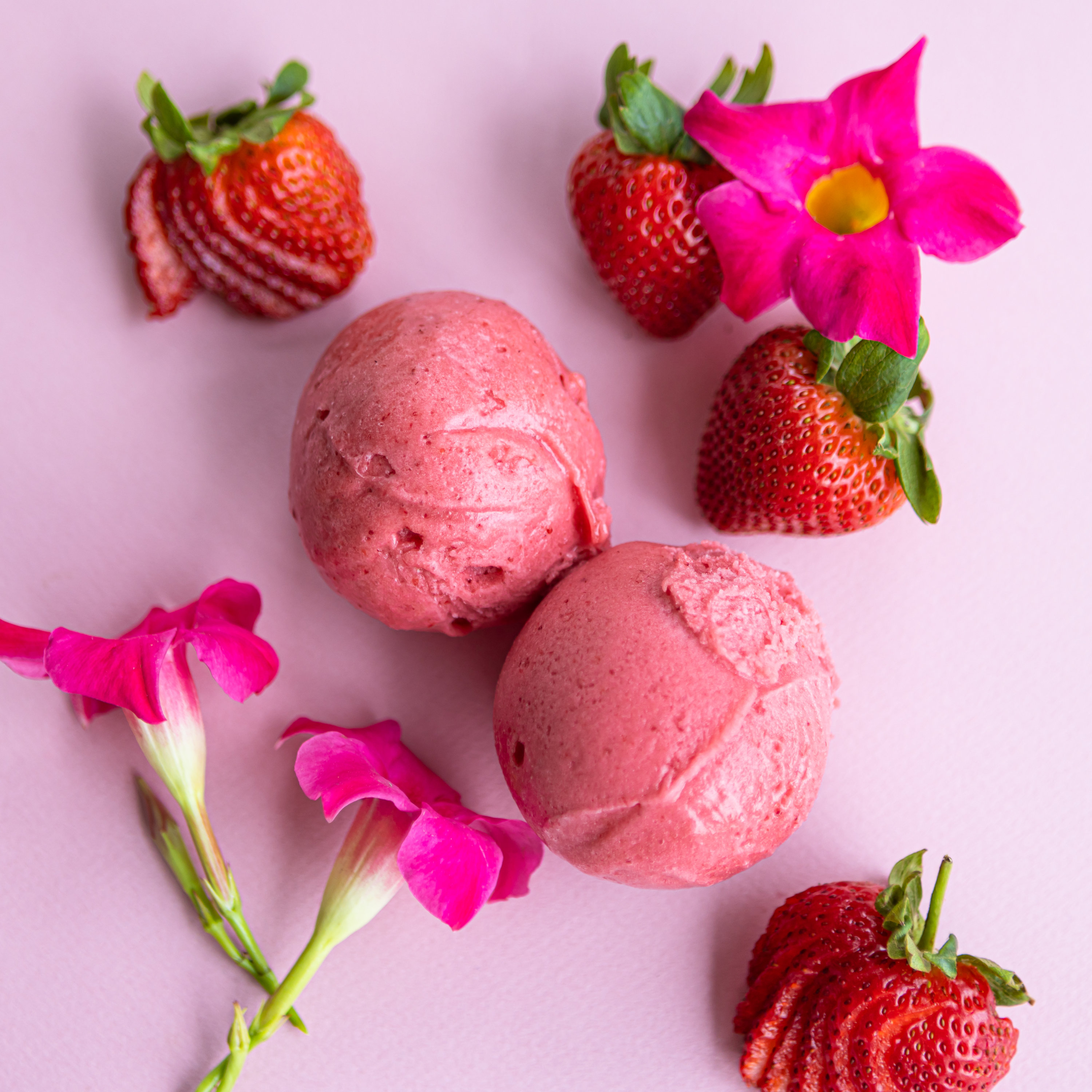 Strawberry Hibiscus 04 - Washingtonian