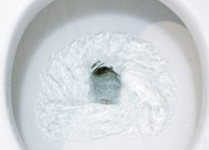 Tony Podesta Had a Toilet Camera? Yes, Tony Podesta Had a Toilet Camera.