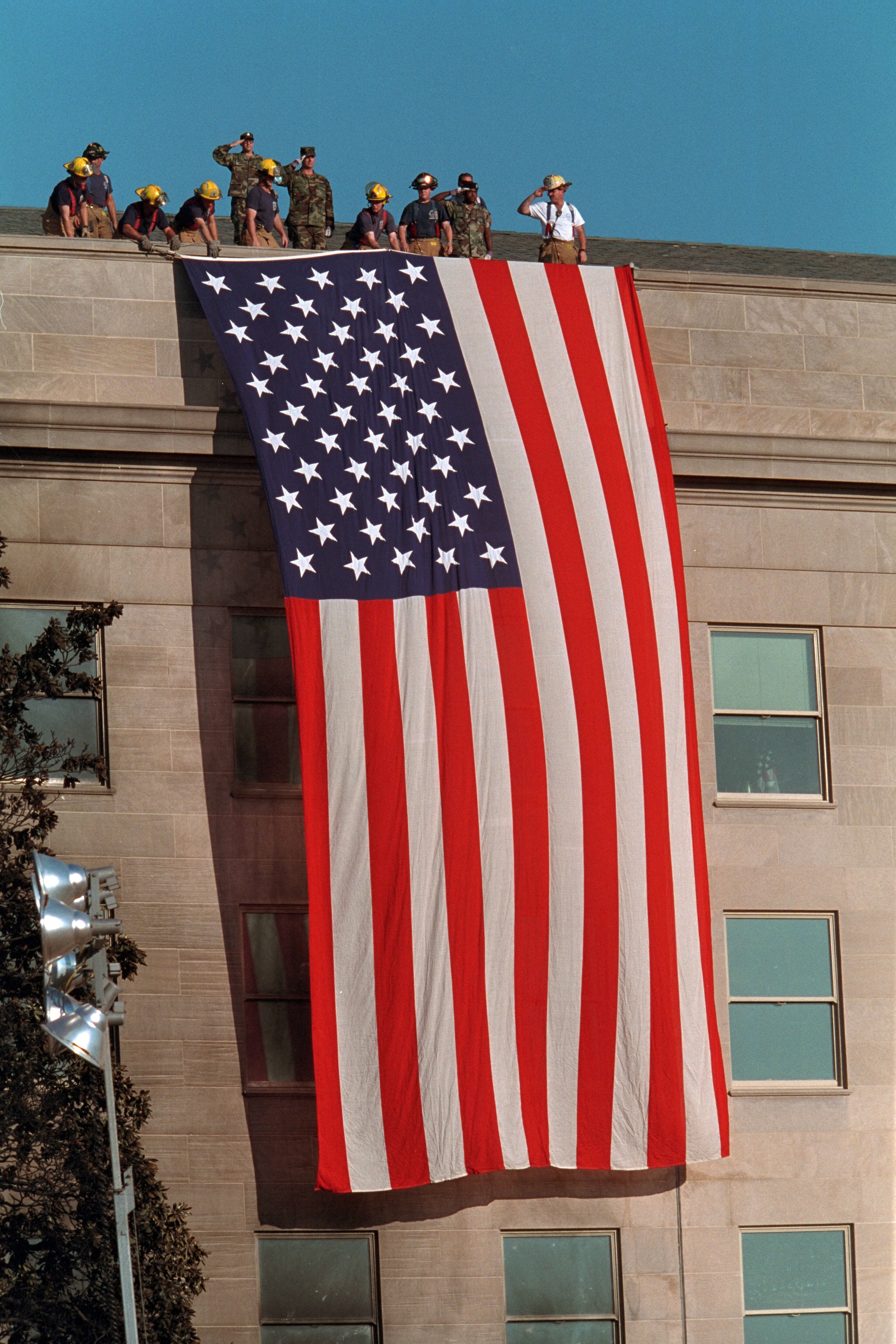 P7244-27 - Washingtonian