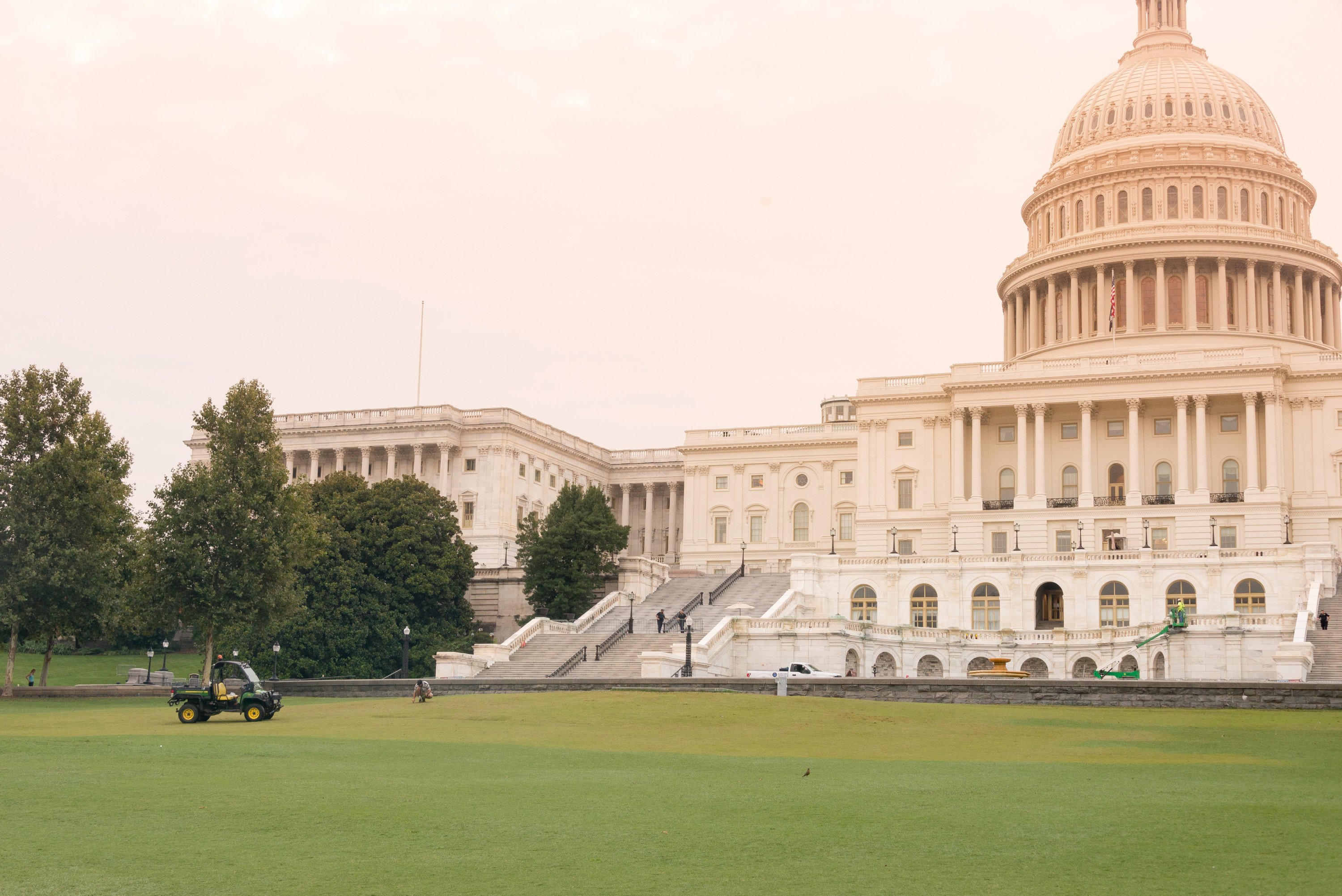 LJB-5370 - Washingtonian