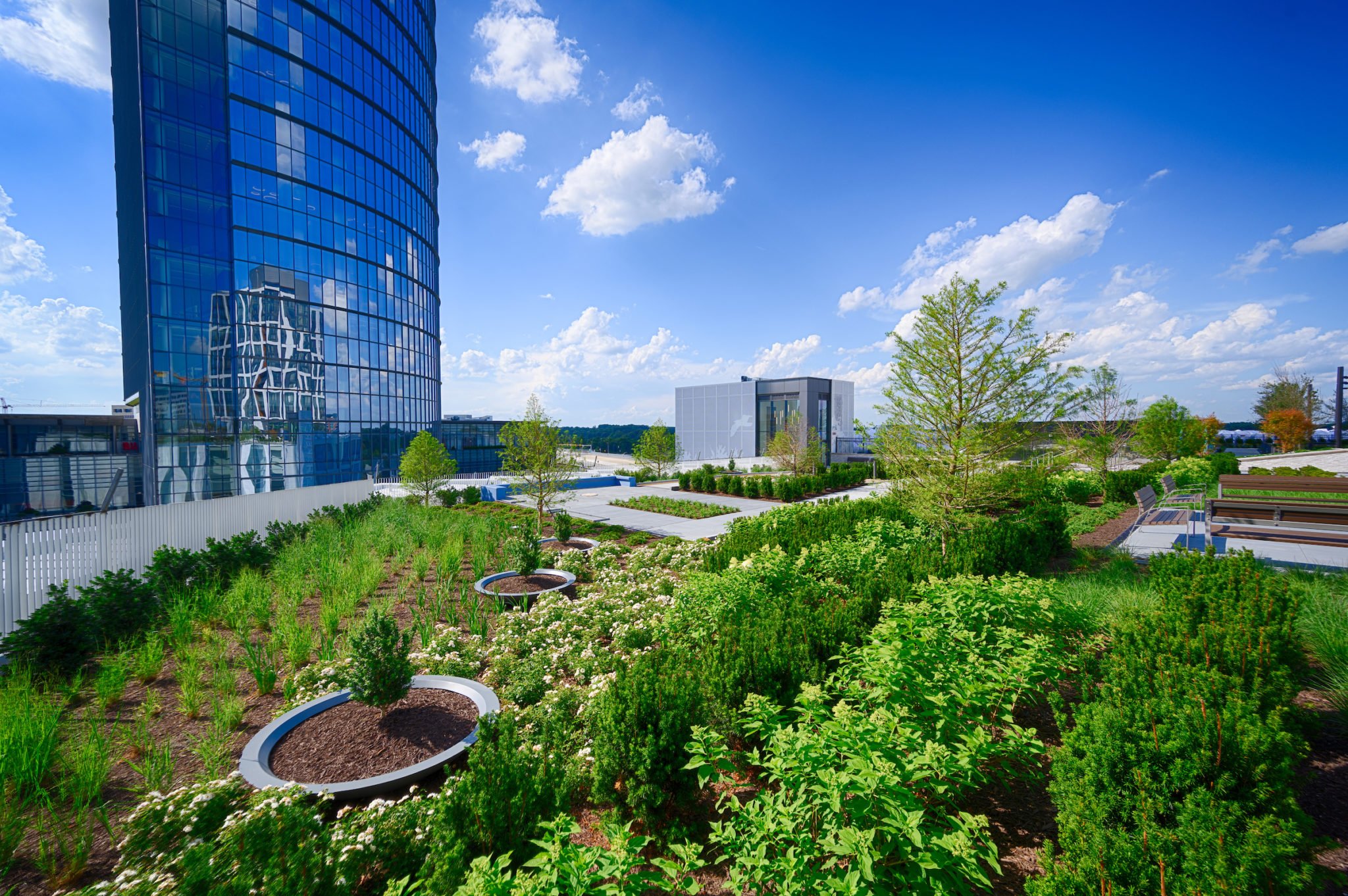 Things to Do in Tysons Corner, Virginia