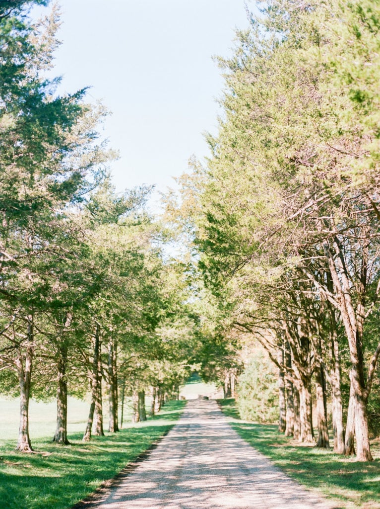 81Great_Marsh_Estate_Jillian_Justin_Wedding_AstridPhotography_AnneKelleyEvents146486120003-2 81Great_Marsh_Estate_Jillian_Justin_Wedding_AstridPhotography_AnneKelleyEvents146486120003-2