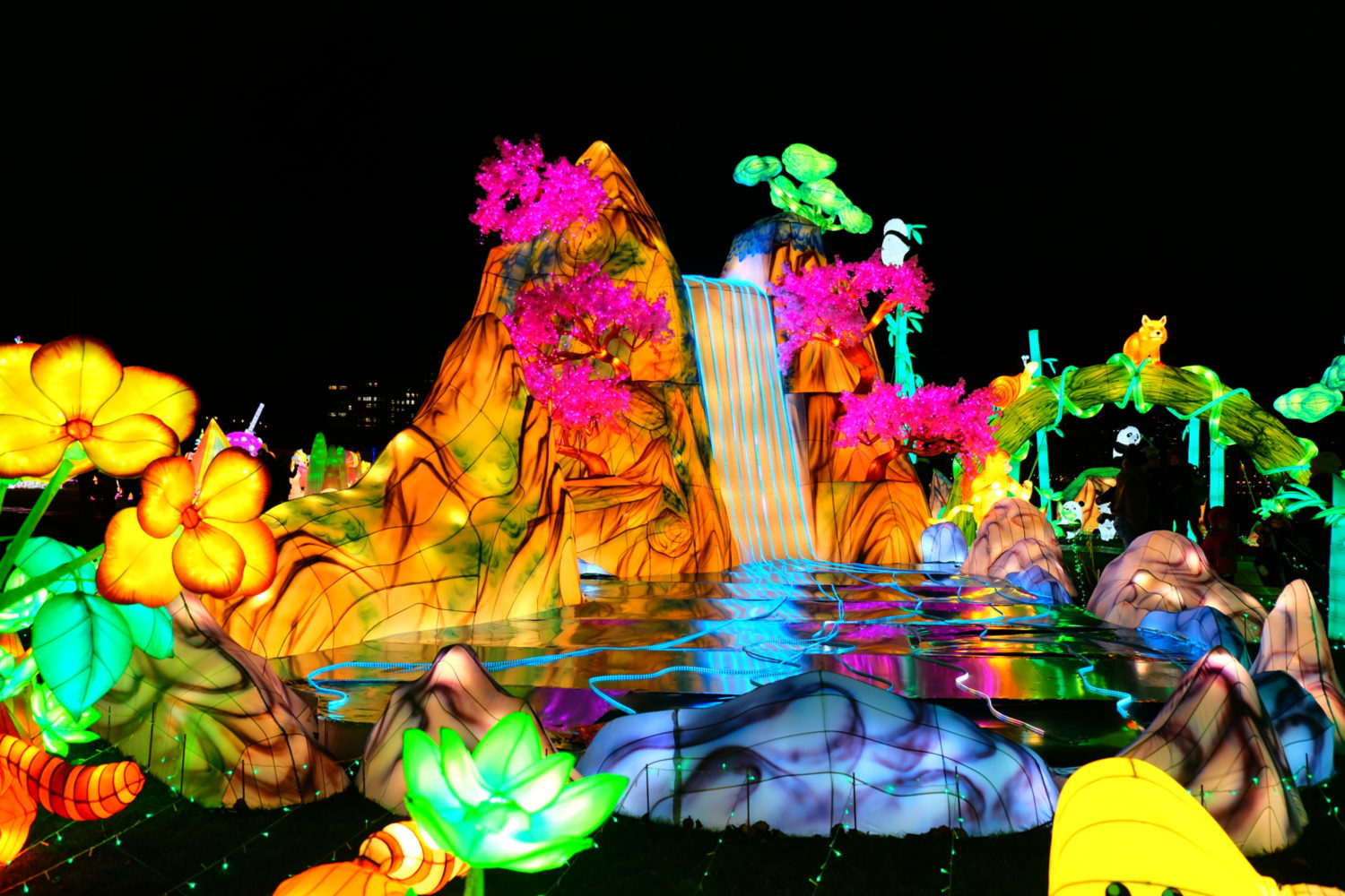 Here’s Where You Can Enjoy Festive Holiday Lights This Year