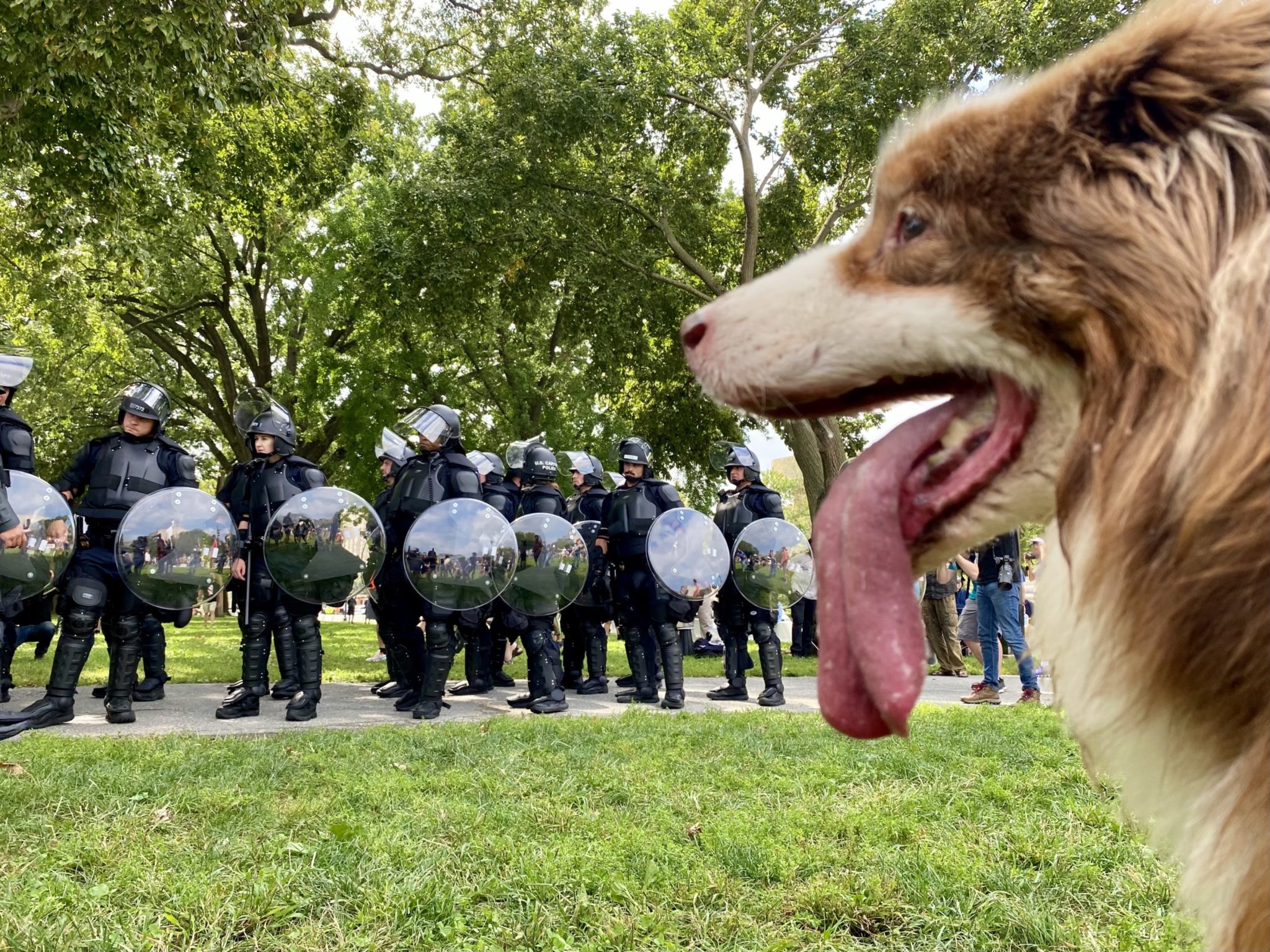 Cops and Journalists Vastly Outnumbered the Attendees at Saturday’s Far-Right Rally in DC