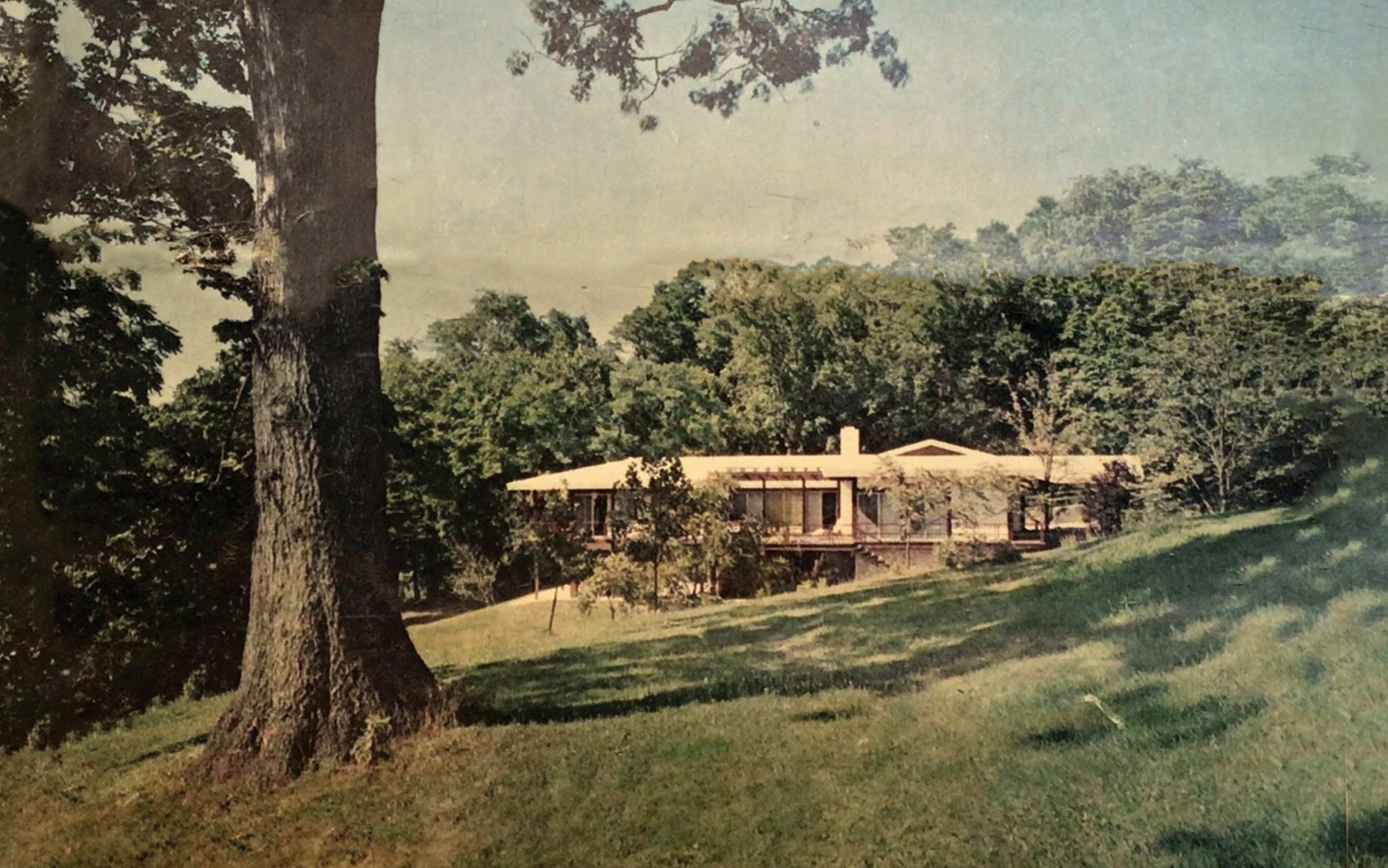 Stop Tearing Down Midcentury-Modern Houses! - Vimarsana News