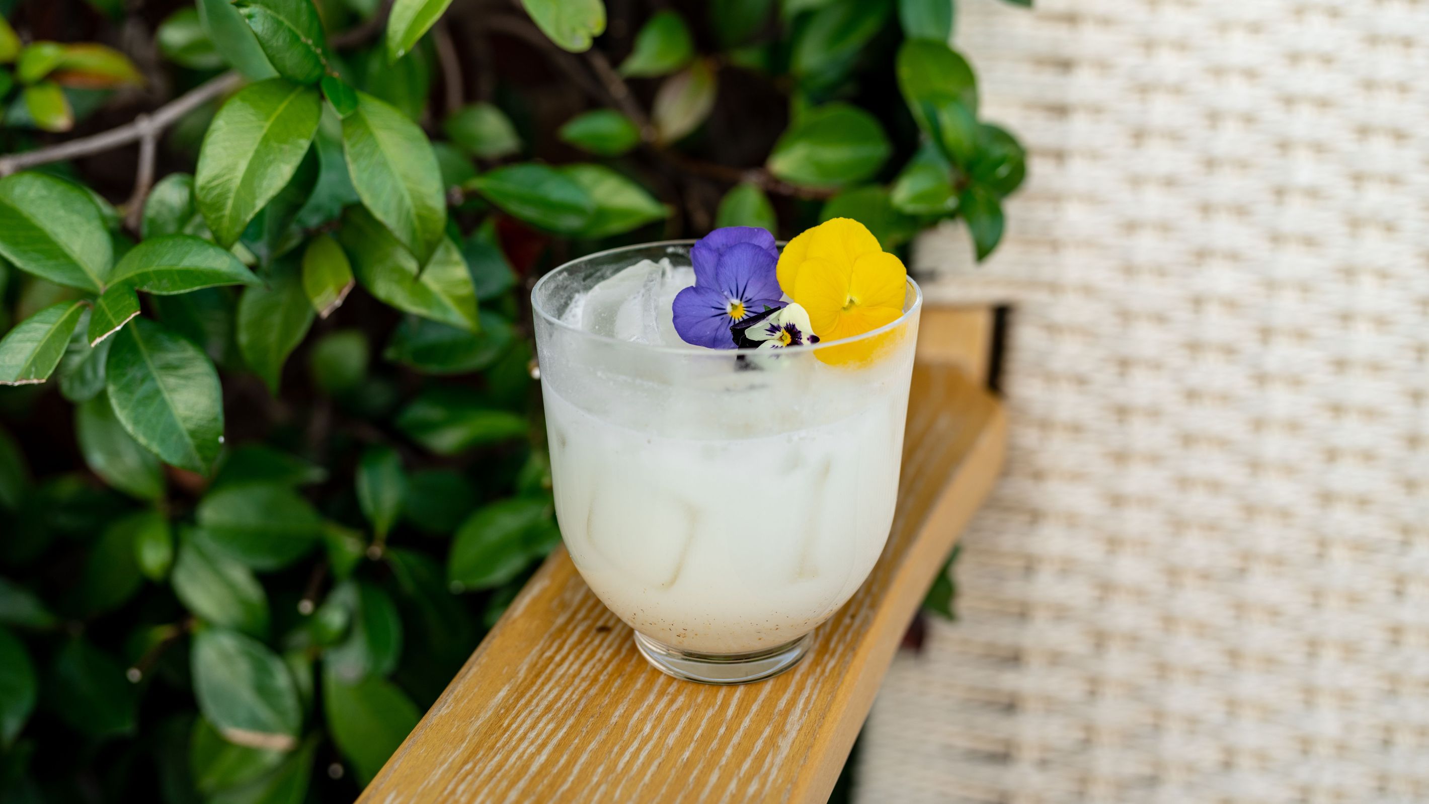 A cocktail is garnished with flowers. Photo by Lead Judson. 