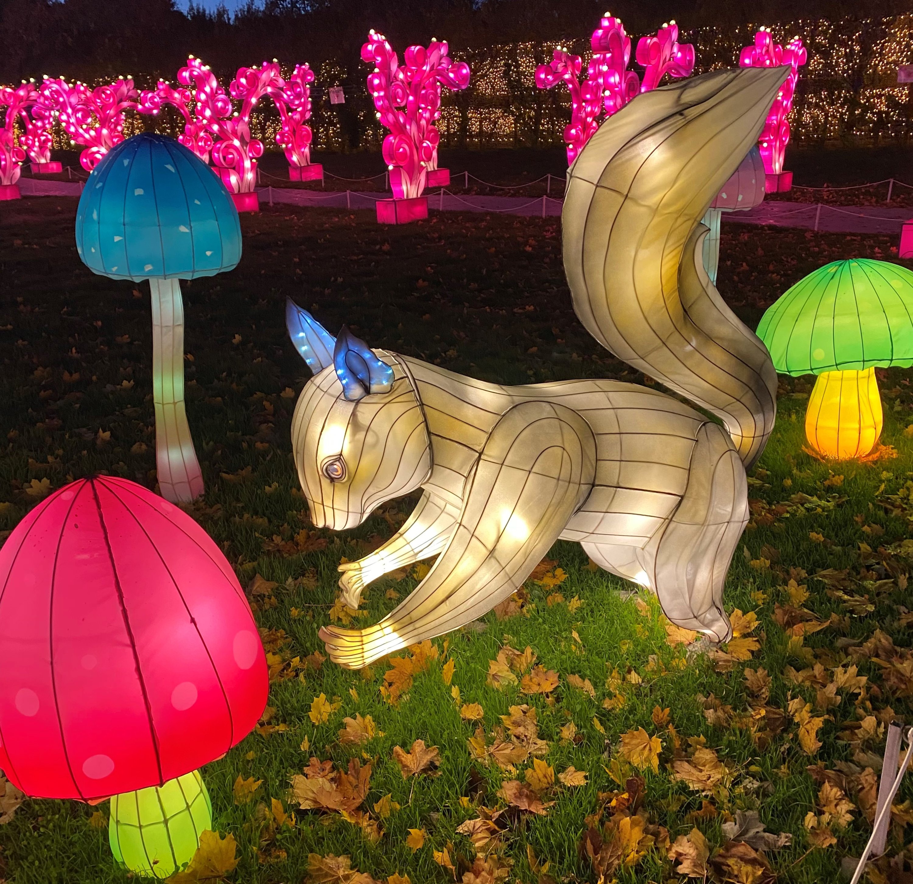 2022 lanterns_squirrel - Washingtonian