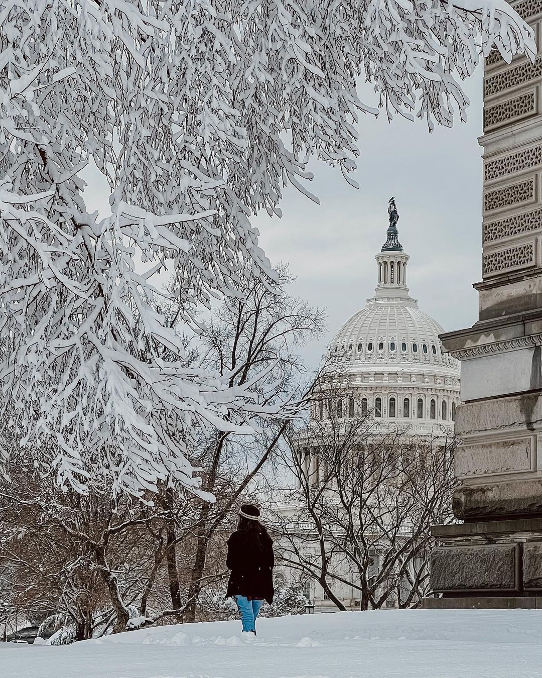 271255376_418325126694077_7152535037398966798_n - Washingtonian