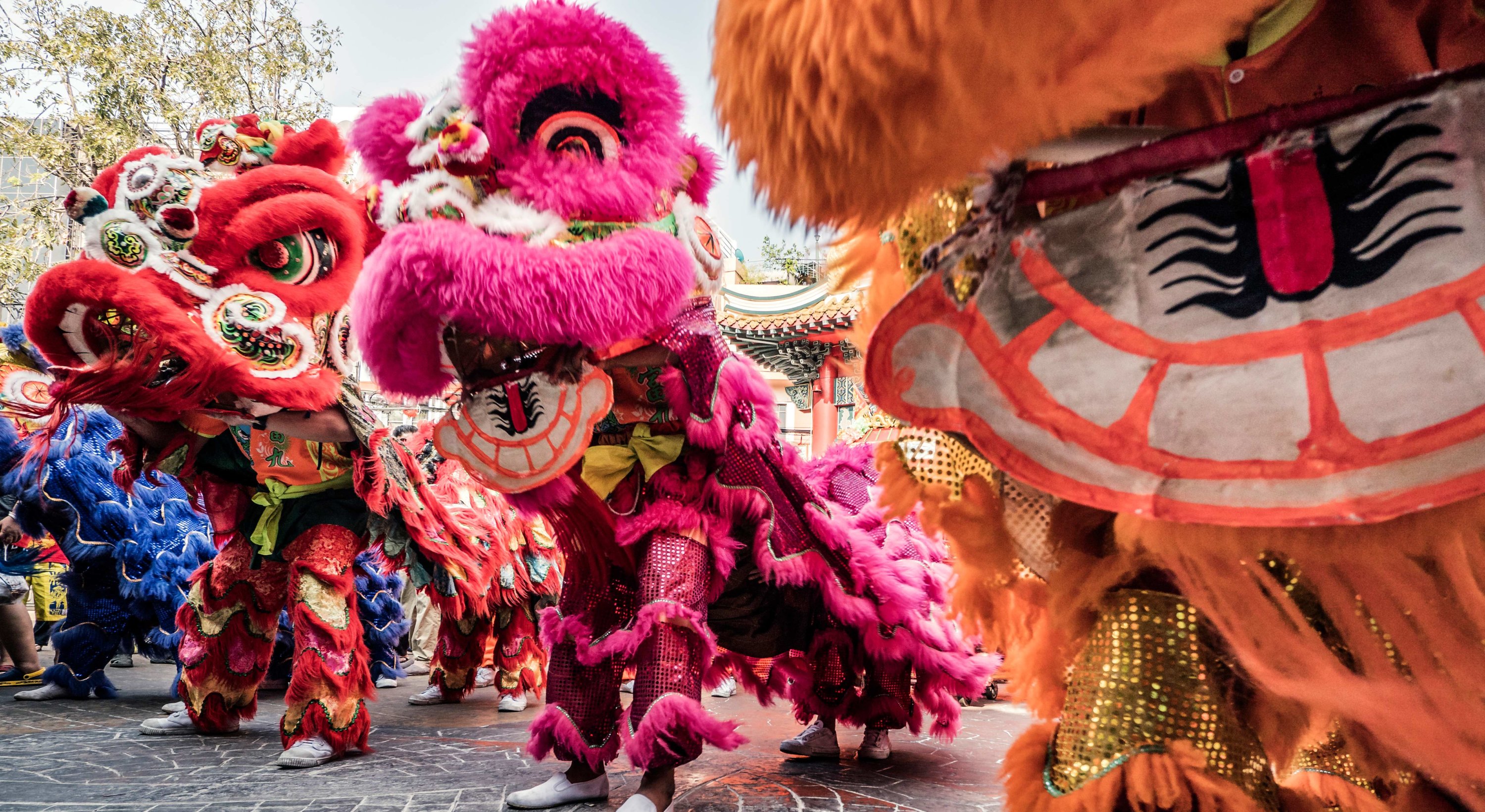 10 Fun Ways to Celebrate Lunar New Year - Vimarsana News
