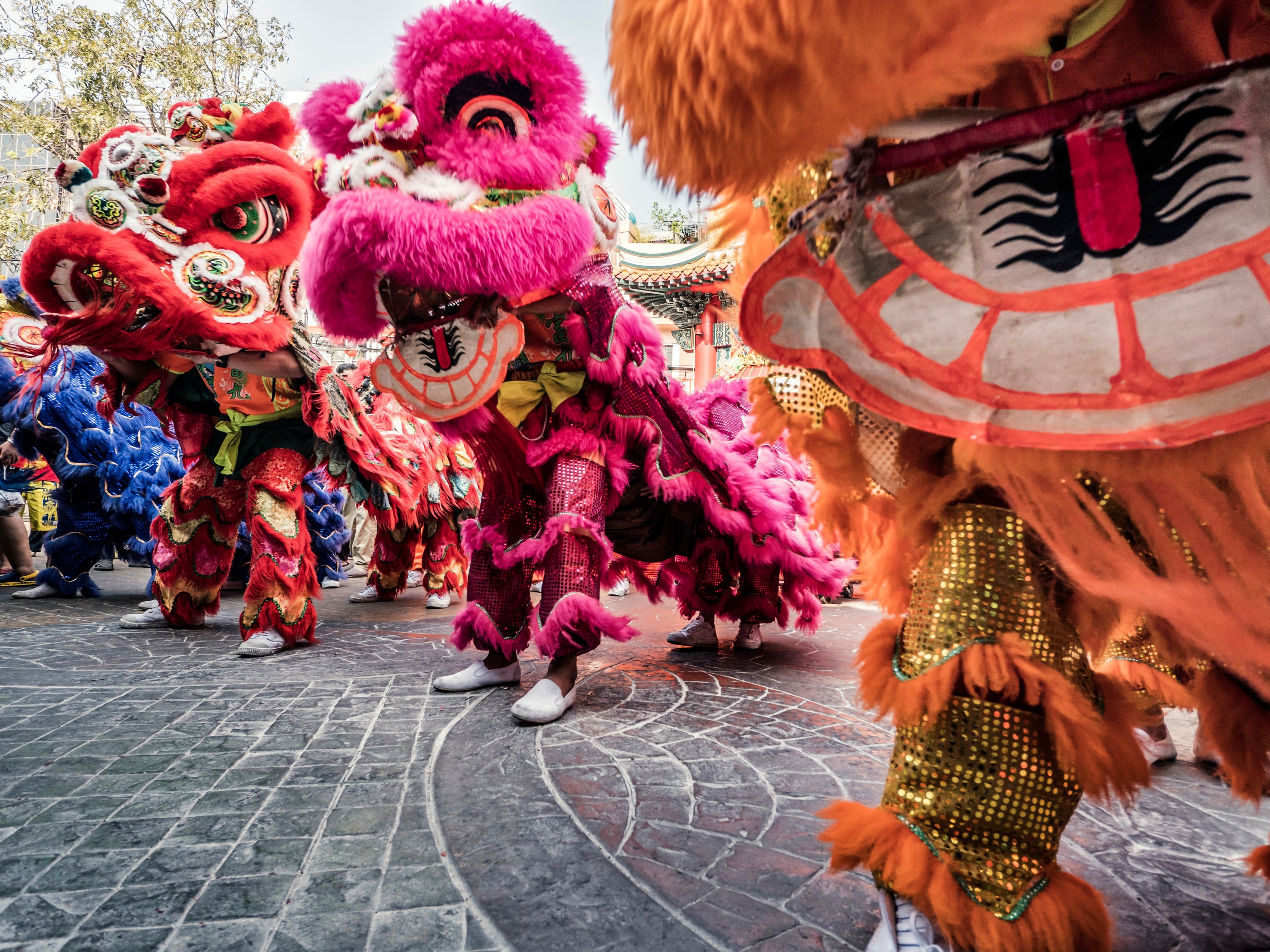 10 Fun Ways To Celebrate Lunar New Year Washingtonian Dc
