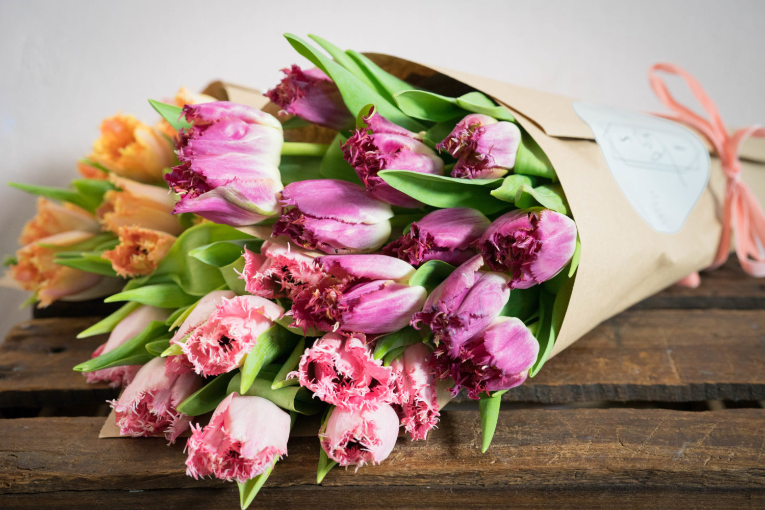 Ask a Vet How Cold Is Too Cold to Let a Cat Stay Outside