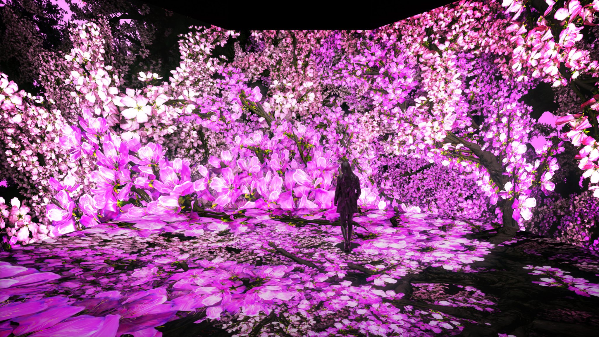 ATH_DC_SPRING2022_Pink_01-2048x1152 - Washingtonian