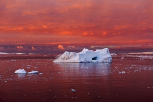 This Immersive Photography Exhibit Says Just Being Aware of Climate Change Isn’t Enough