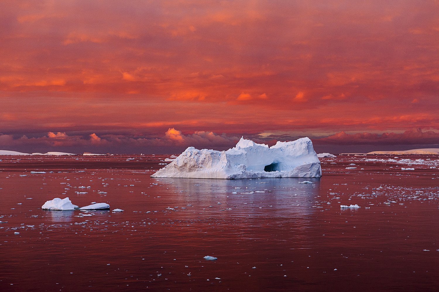 Camille Seaman_Antarctica_2016 - Washingtonian