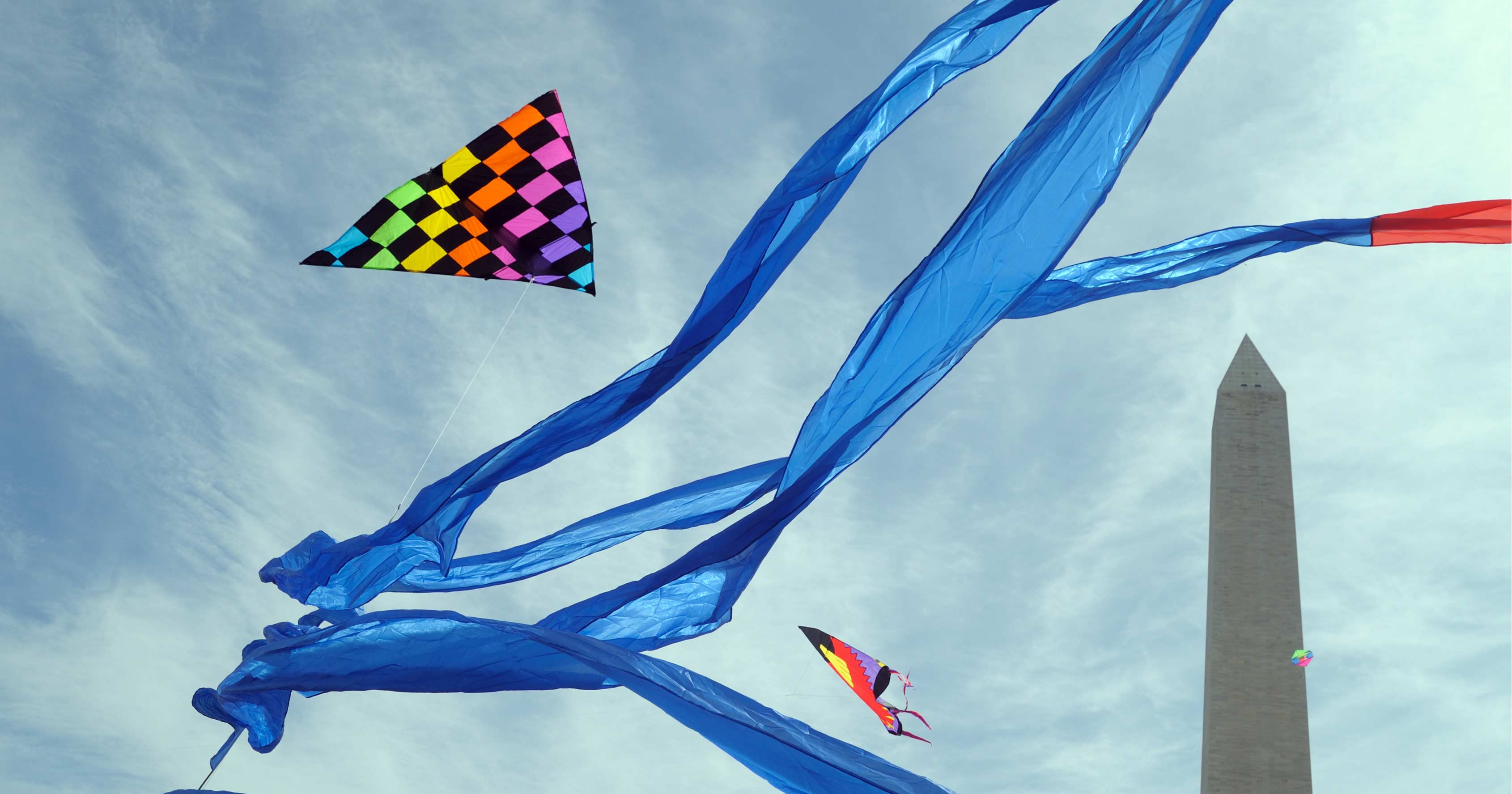 Best Things to Do in the DC Area, 3/21-3/27: Sushi Classes, Kite Flying, and Cyborg Dance Parties - Vimarsana News