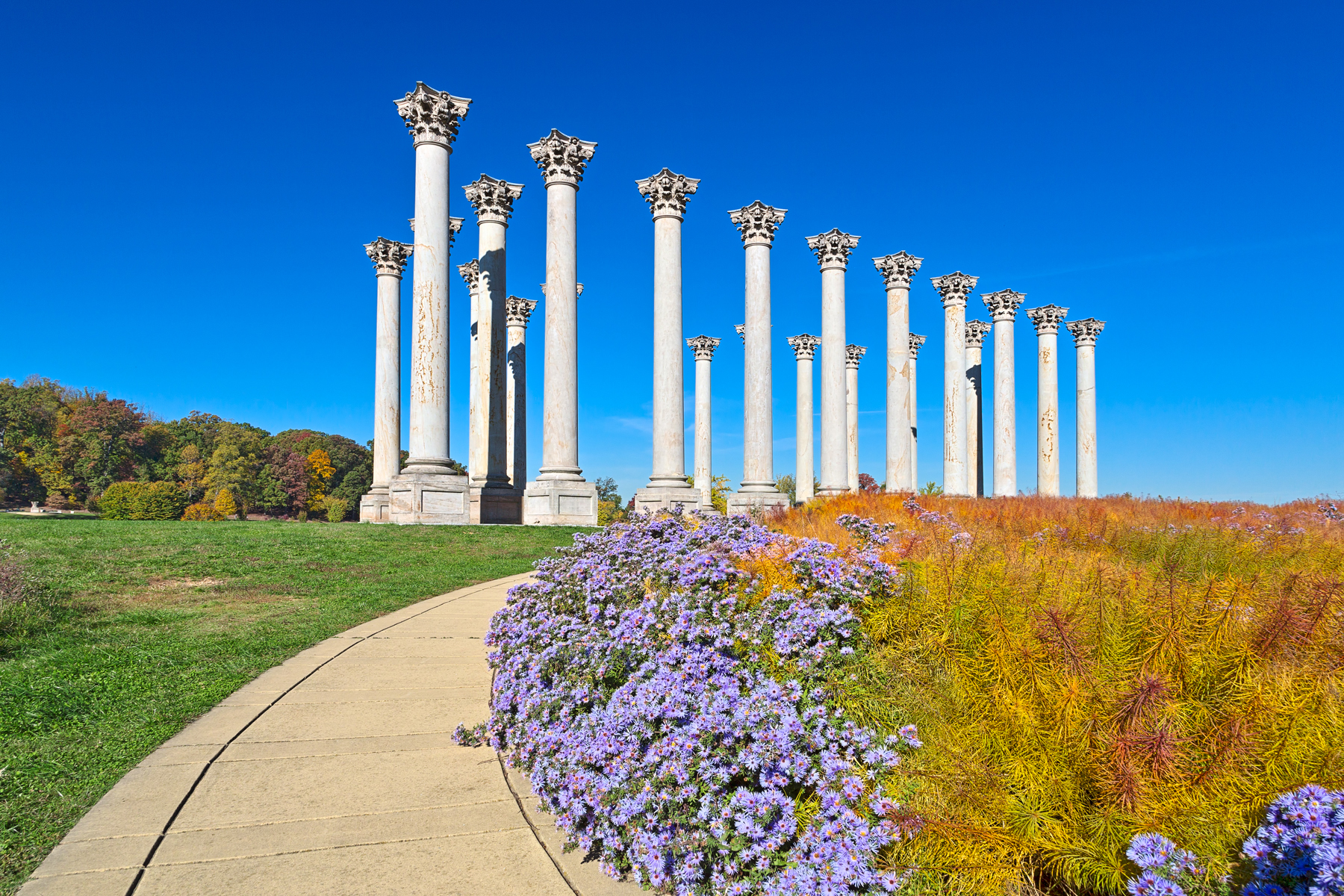 National-Arboretum-Nicolas-Raymond - Washingtonian