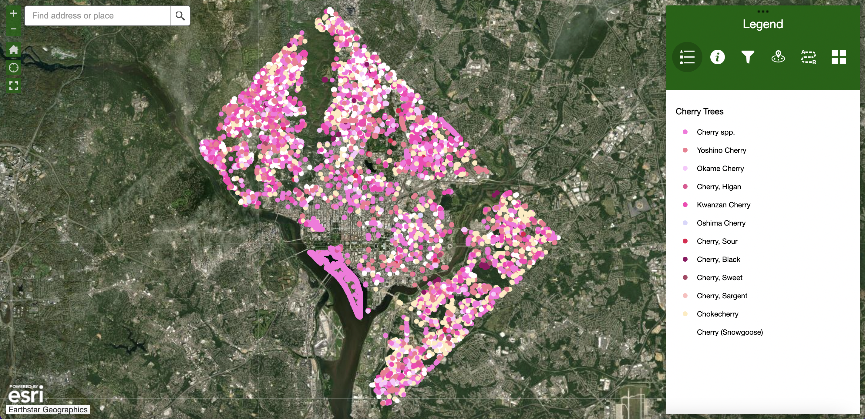 Peak Bloom is Coming — Use This Map to Find Your Nearest Cherry Blossoms - Vimarsana News