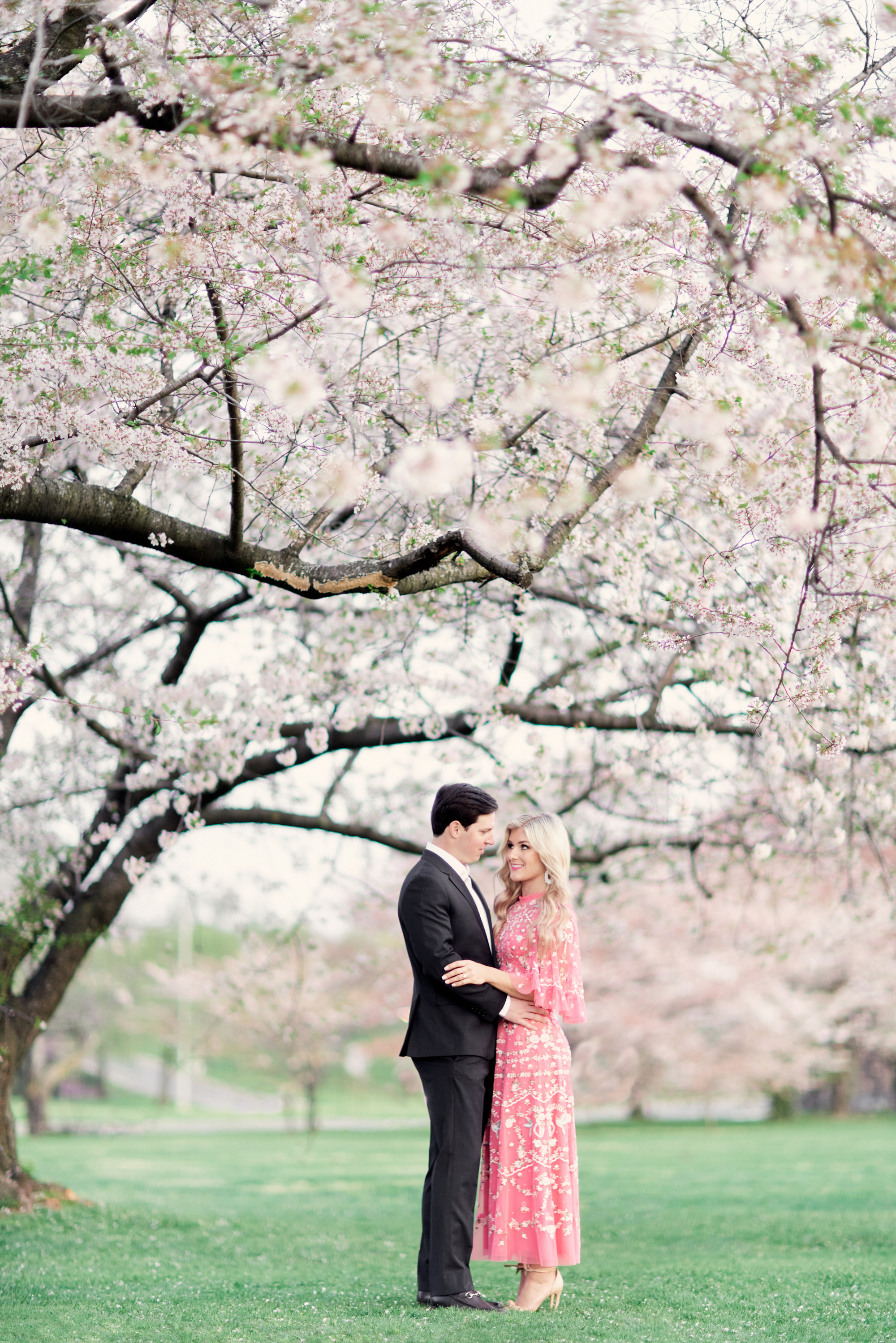 Cherry blossoms dating site in Qiqihar