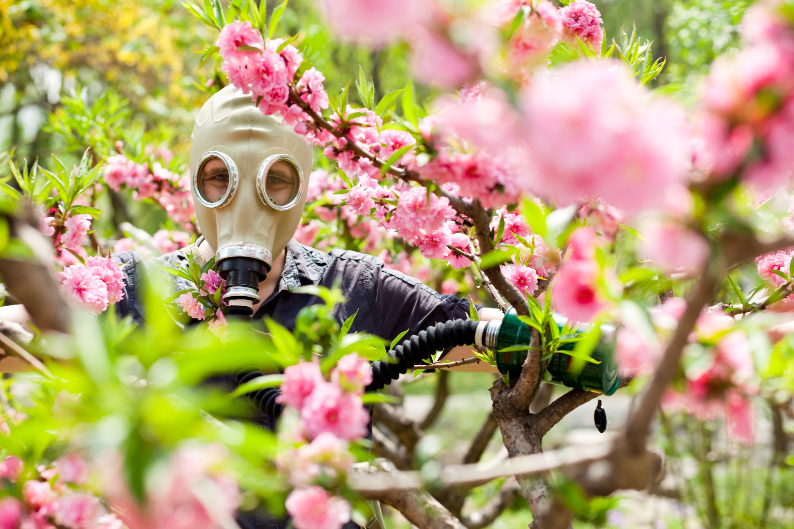 Allergy Season - Washingtonian