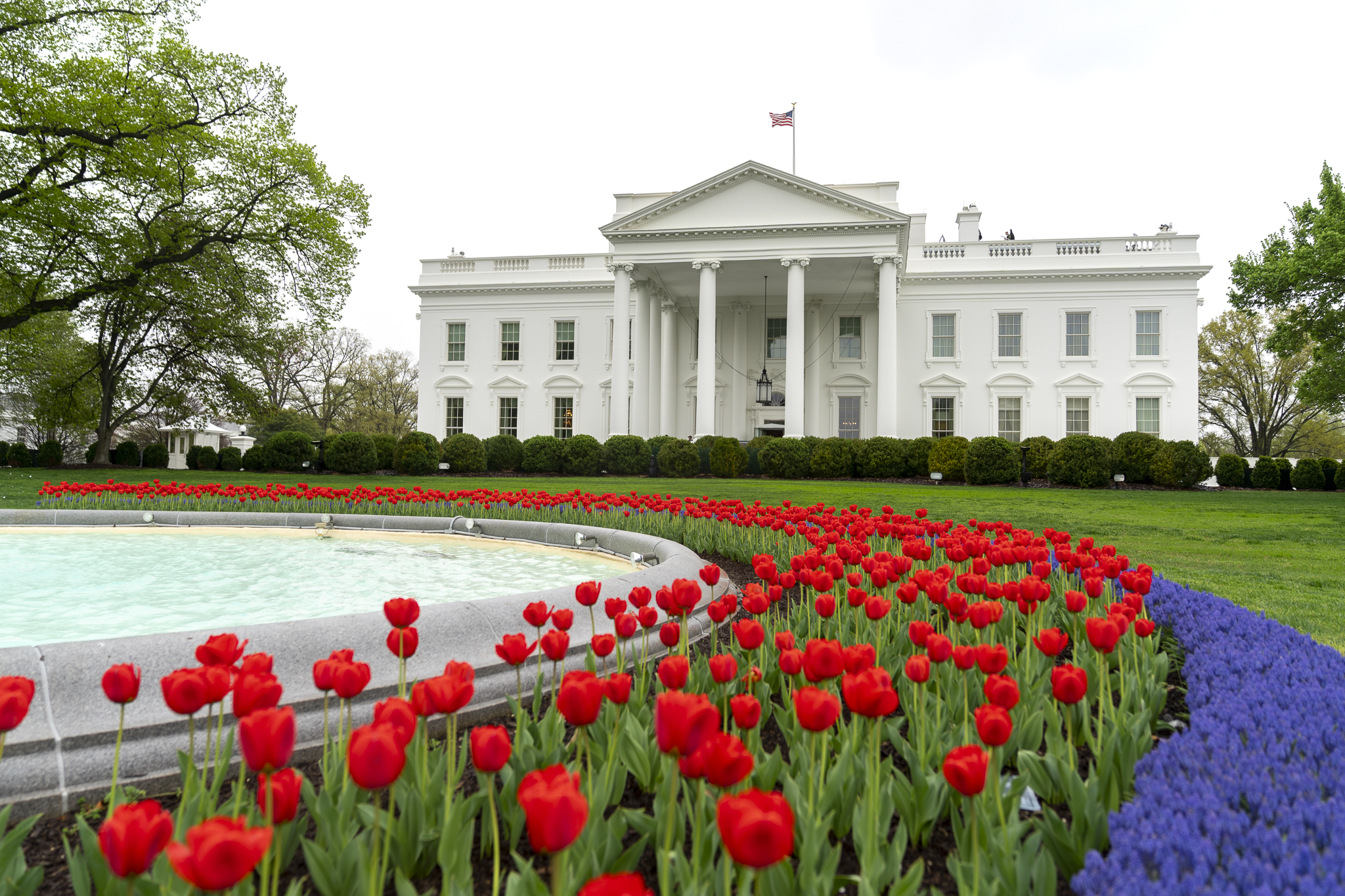 Best Things to Do in the DC Area, 4/44/10 White House Garden Tours
