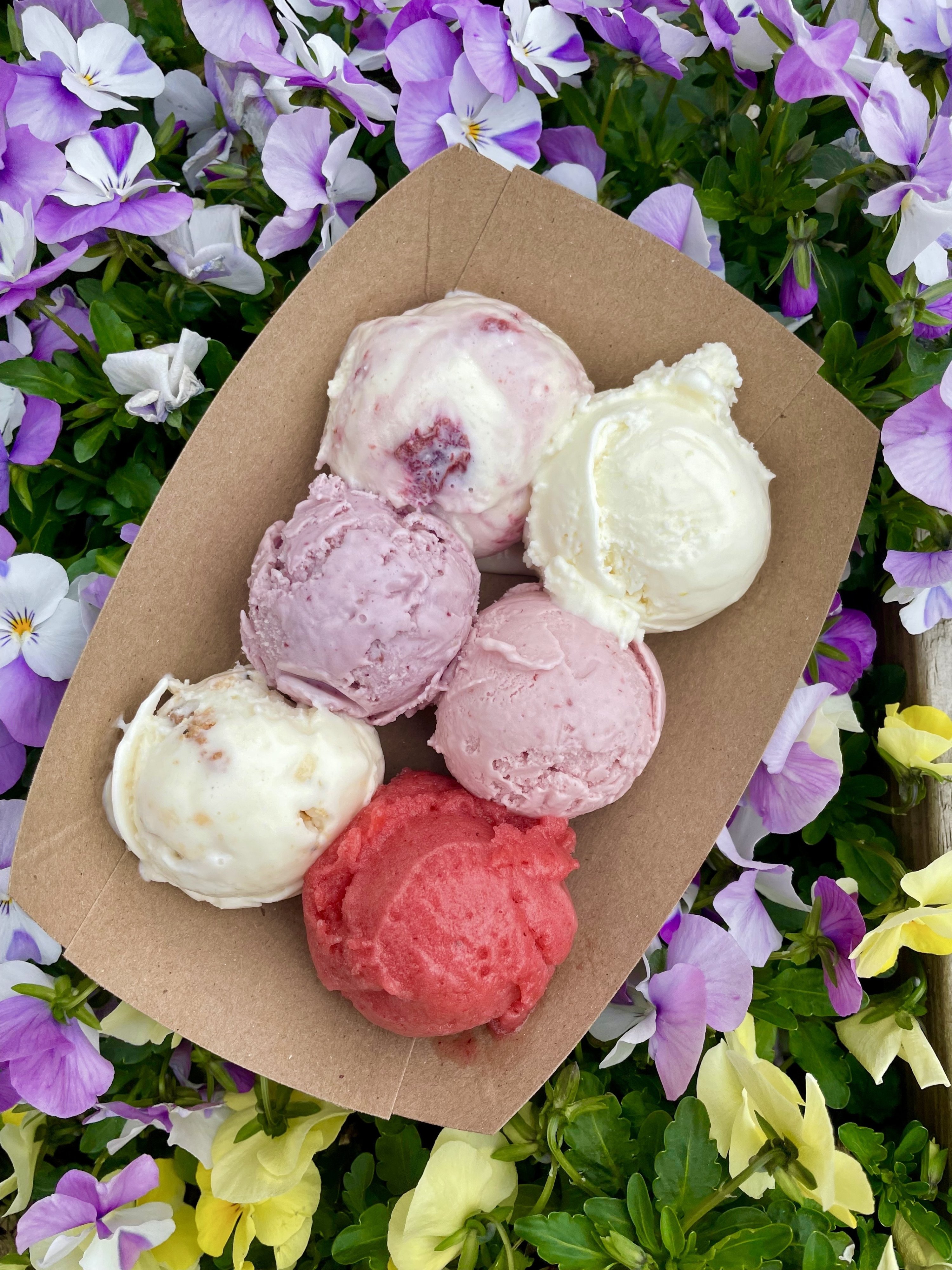 Cherry Blossom Floral Tasting Flight 02 - Washingtonian