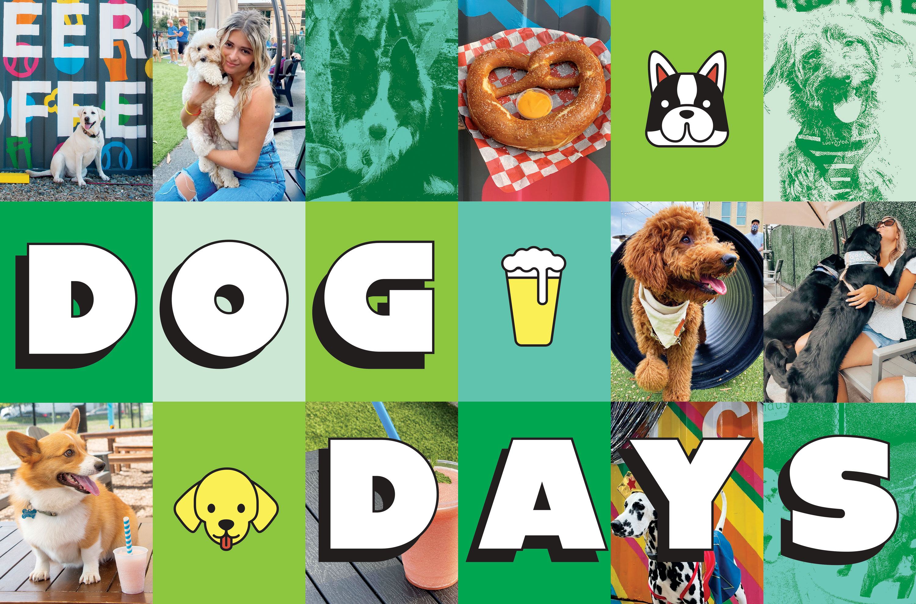 DogParkBarshero-1 - Washingtonian