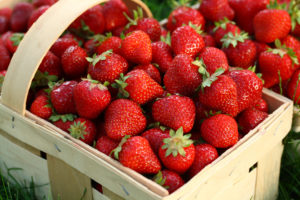 Best Things to Do in the DC Area 5/16-5/23: Silk Road Festival, Strawberries, and Cookbook Talks