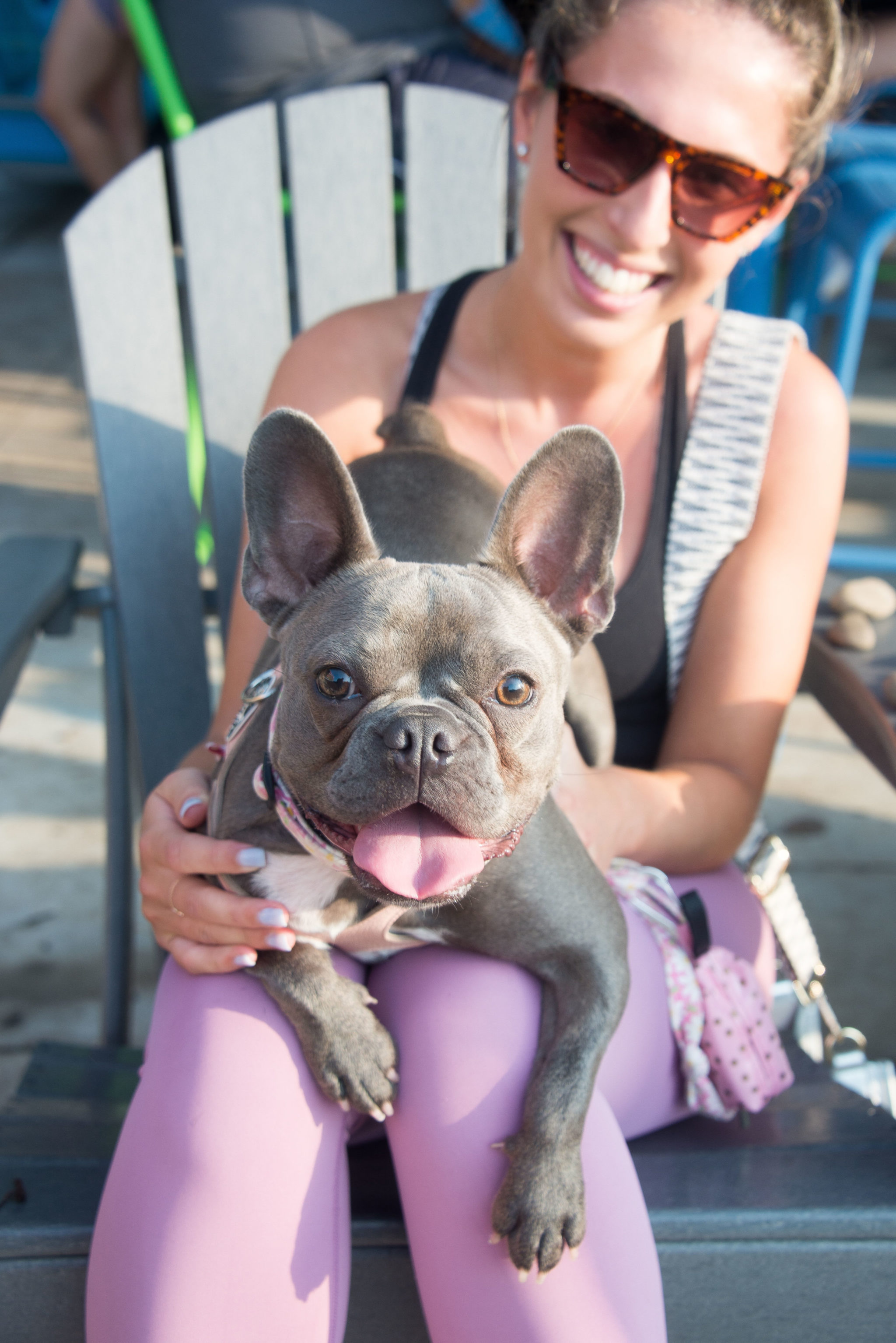 DC Dog Bars Are Booming. More PetFriendly Spots Are Coming