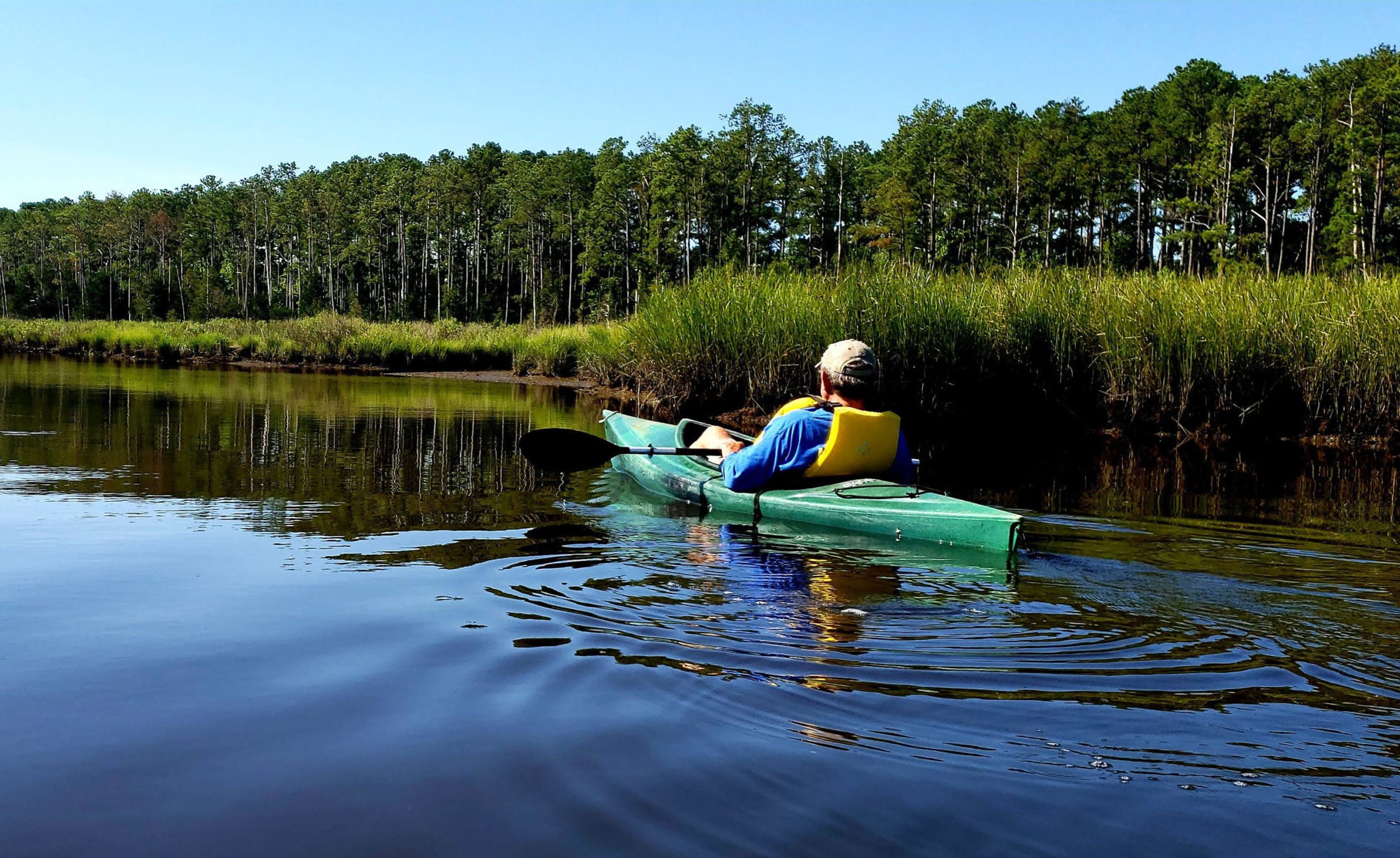 Photo courtesy of the Virginia Department of Conservation and Recreation - Washingtonian