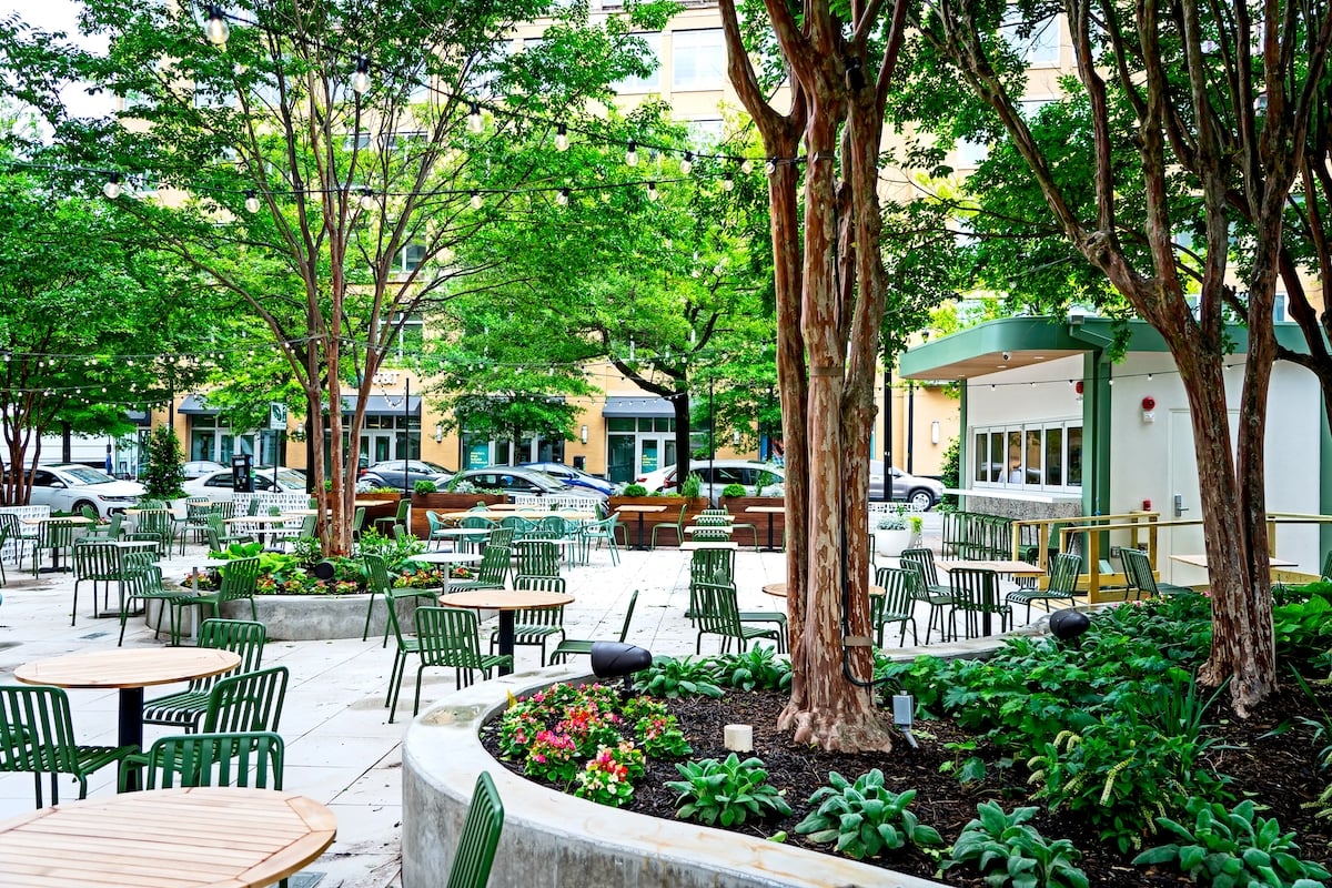 Bar Ivy, Arlington, VA - Washingtonian