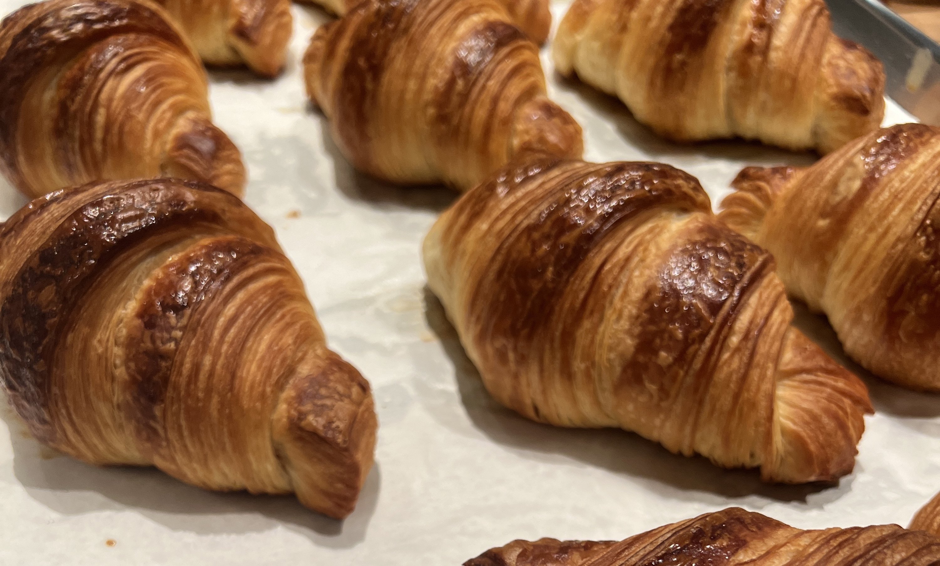 All-Day Tigerella Opening Soon With Pastries, Pickle Pizza, and Pasta - Vimarsana News