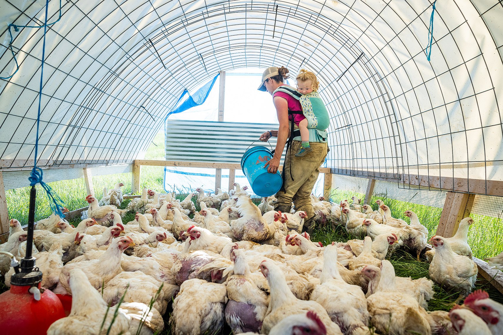 Potomac Vegetable Farm Long Stone Farm ©Rebecca Drobis All Rights Reserved - Washingtonian