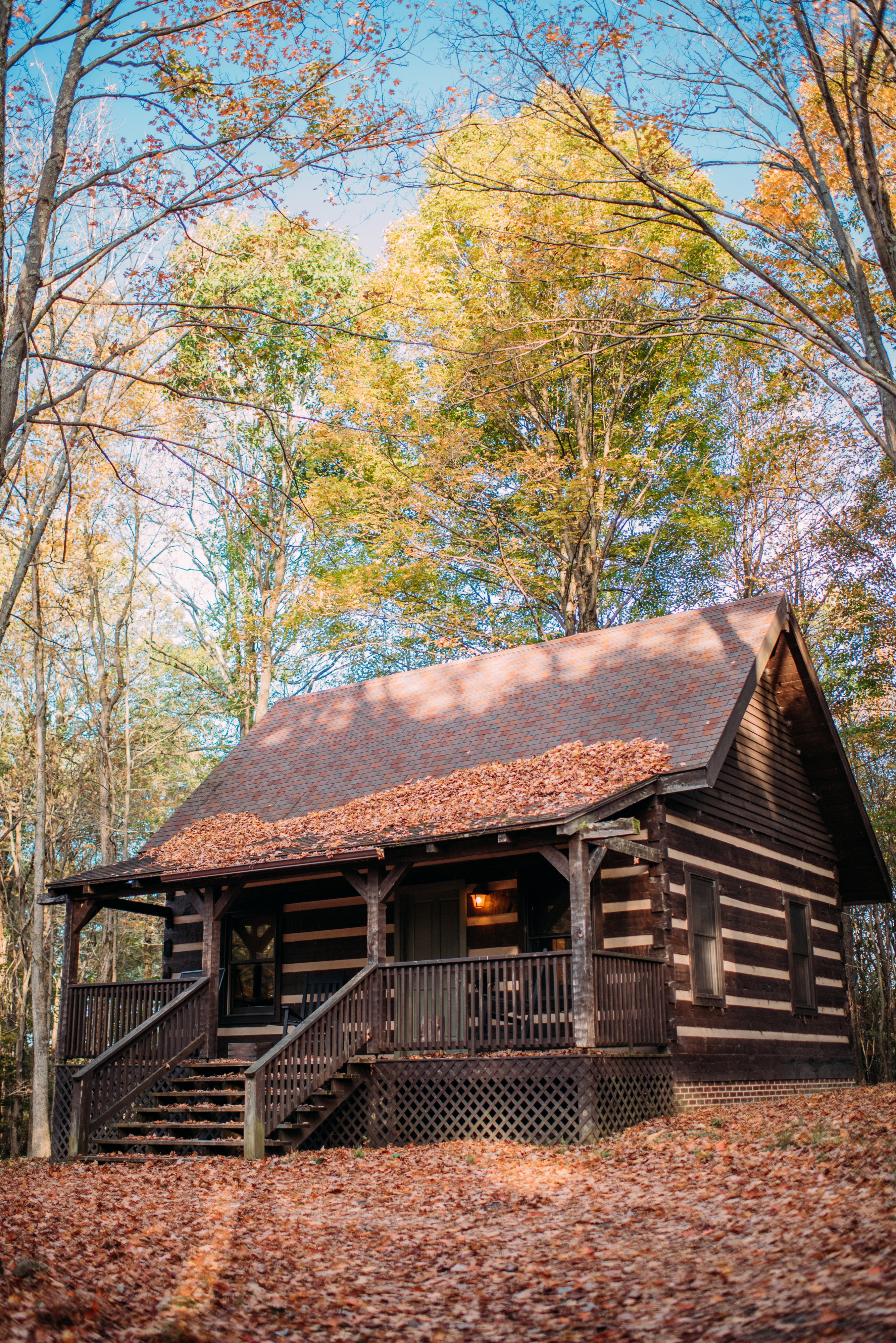 SRL_Cabin_VeronicaVaros6 copy - Washingtonian