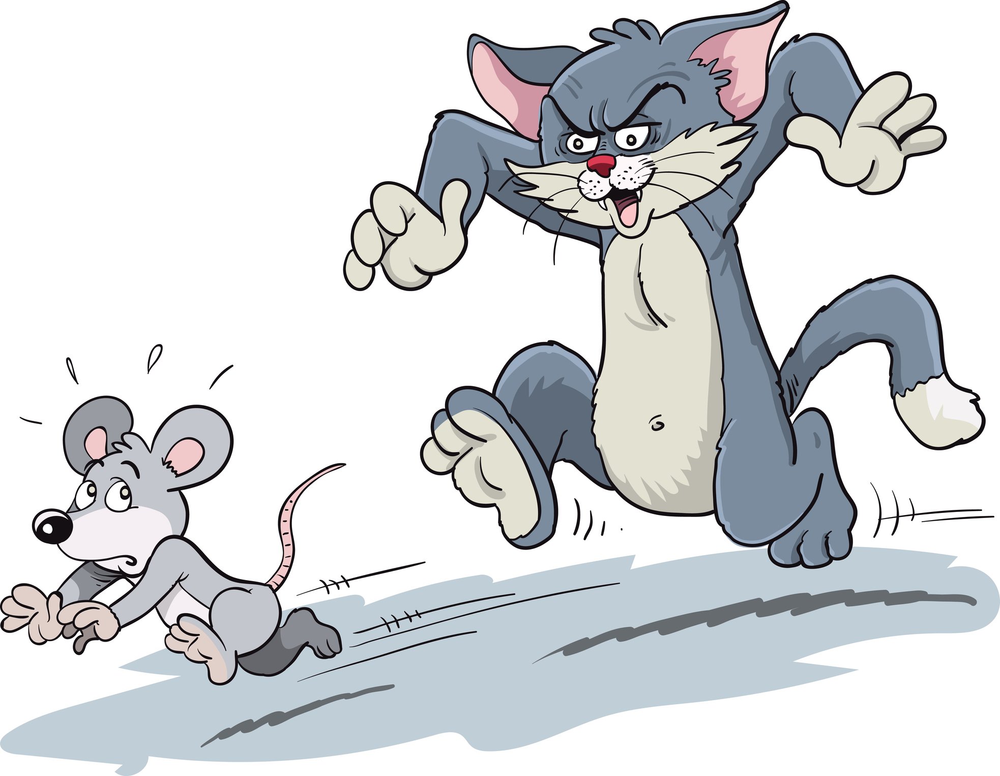 Cat chasing a mouse. - Washingtonian