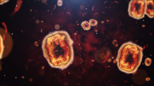 Monkeypox: What Washingtonians Need to Know