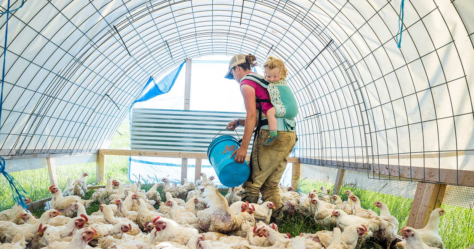 Meet the DC-Region Female Farmers Producing Your Local Food - Vimarsana News