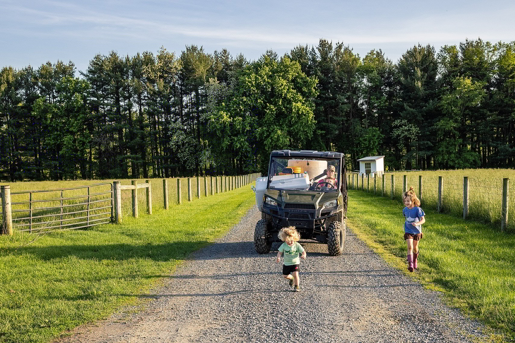 Potomac Vegetable Farm Long Stone Farm ©Rebecca Drobis All Rights Reserved - Washingtonian