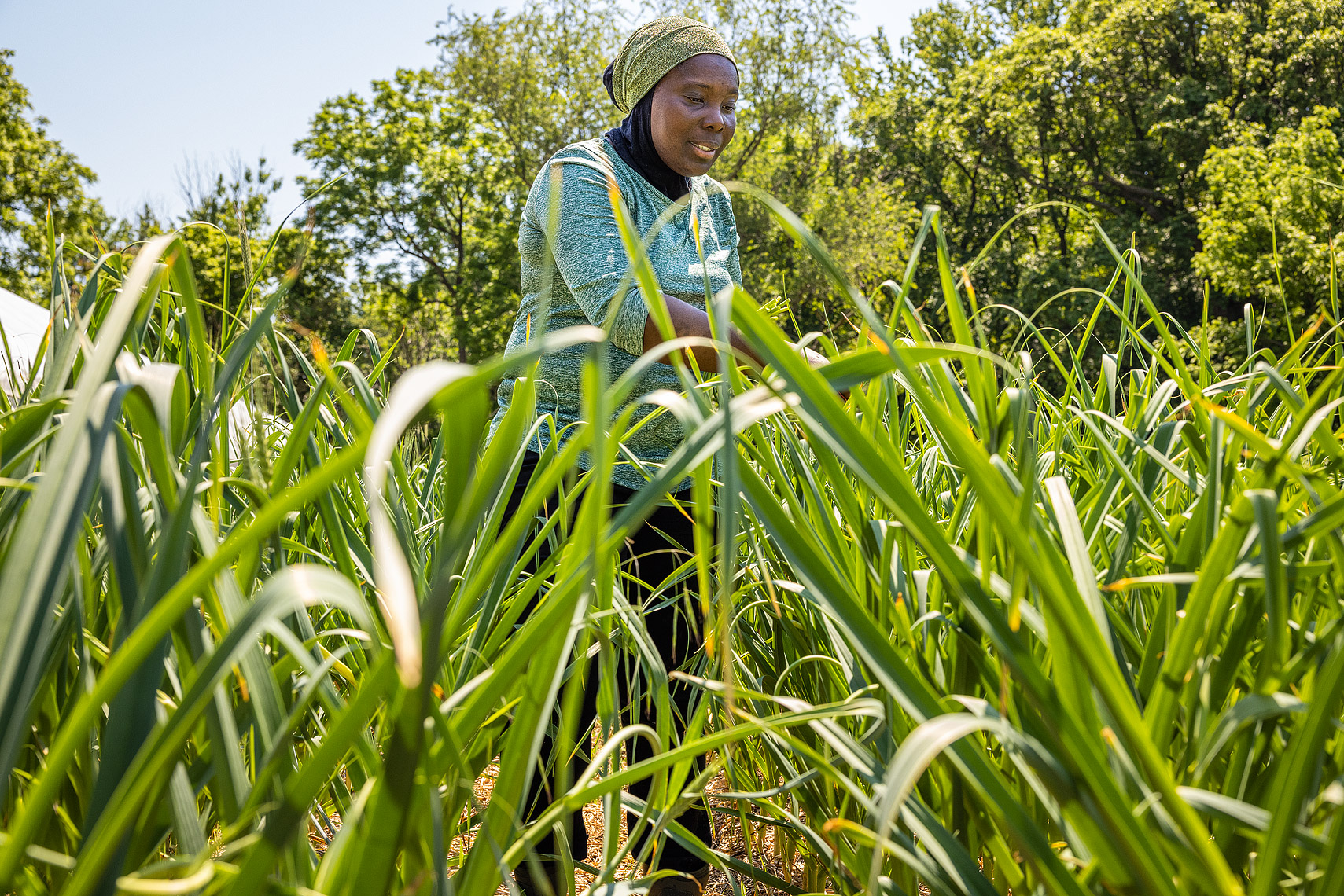 Tope Fajingbes, Dodo Farms ©Rebecca Drobis All Rights Reserved - Washingtonian