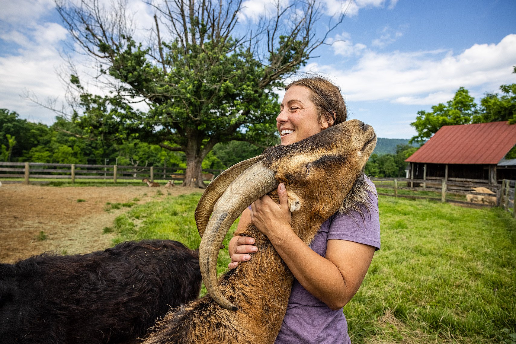 Deb Dranby, 56 Hooves Goat FarmBluemont, VAGathering Springs FarmMiddleburg, VA ©Rebecca Drobis All Rights Reserved - Washingtonian