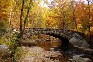 Here’s When Foliage Will Peak Around DC