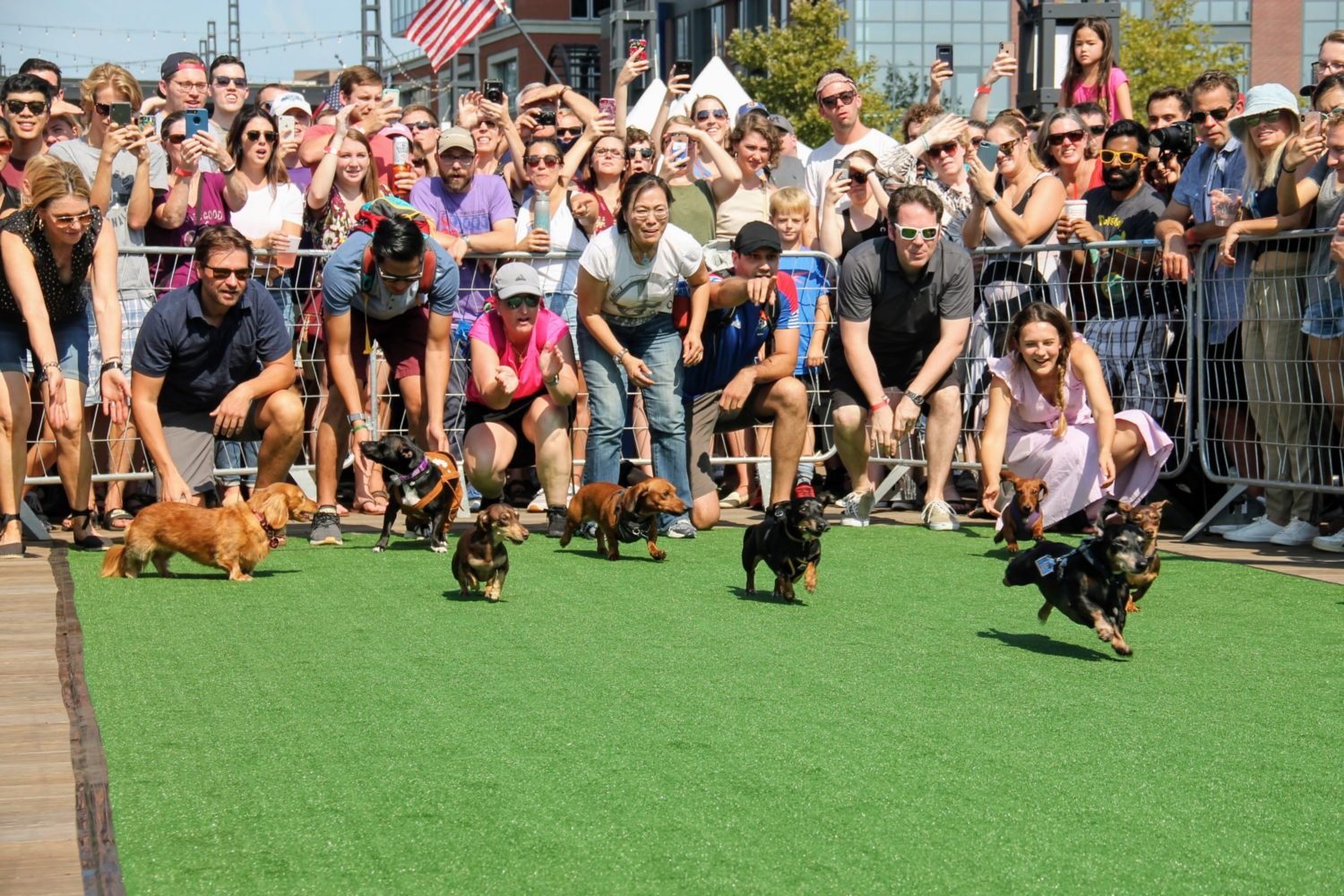 The 2021 Wiener 500 race. Photo courtesy of the Wharf.