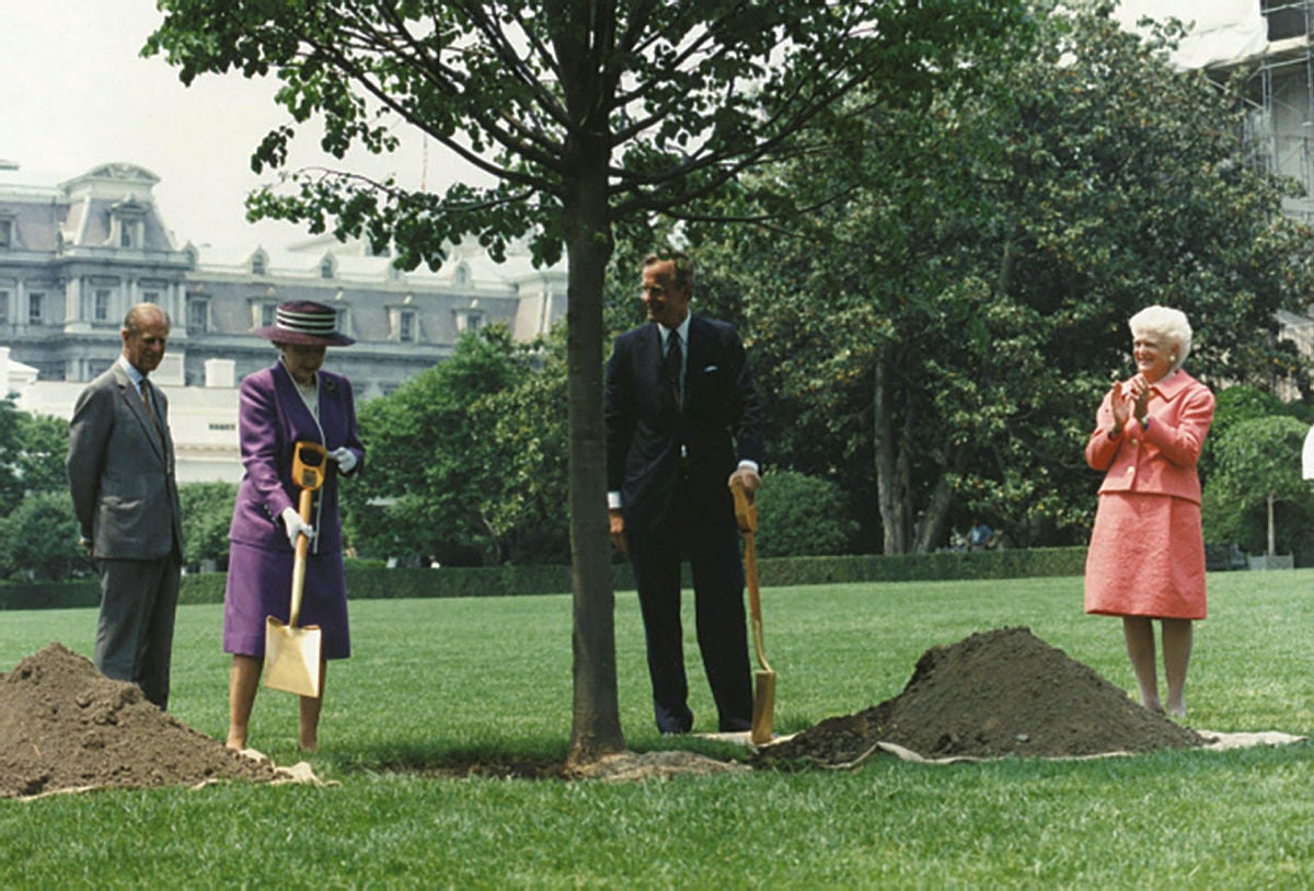 Queen + Digging - Washingtonian