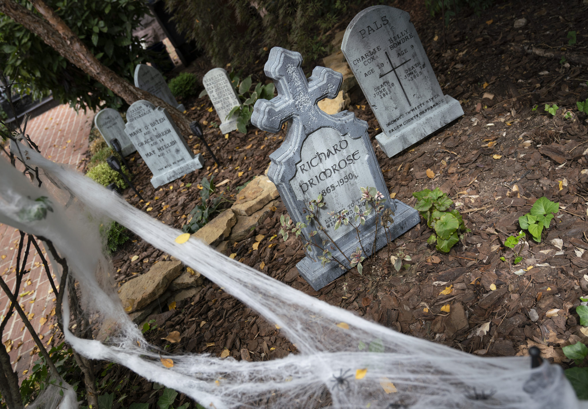 Capitol Hill’s Amazing Halloween Decorations Have Begun to Reappear