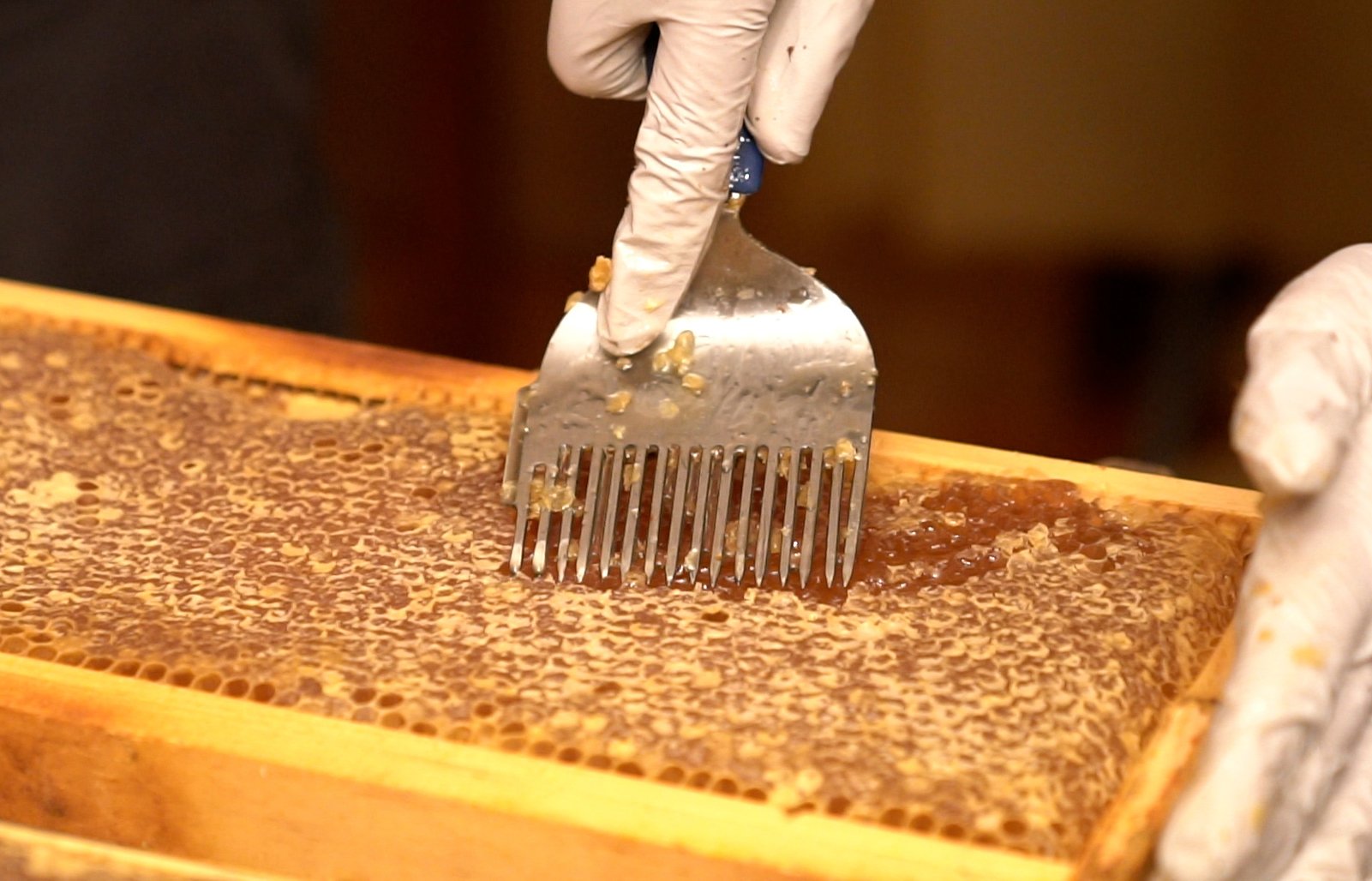 VIDEO: Honey Soon for Sale at Congressional Cemetery