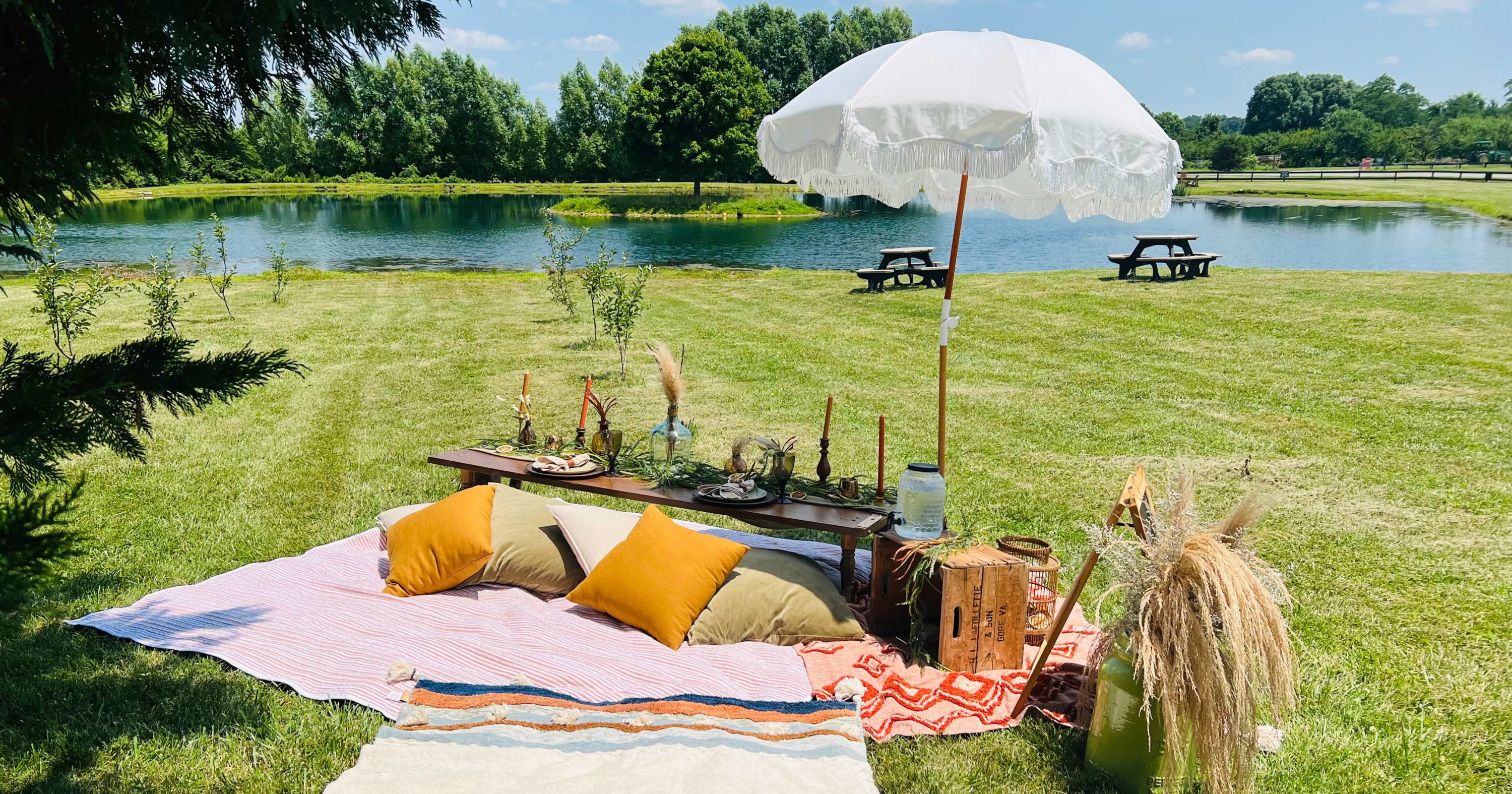 4 Romantic Wineries Around DC You and Your Partner Will Love - Vimarsana News