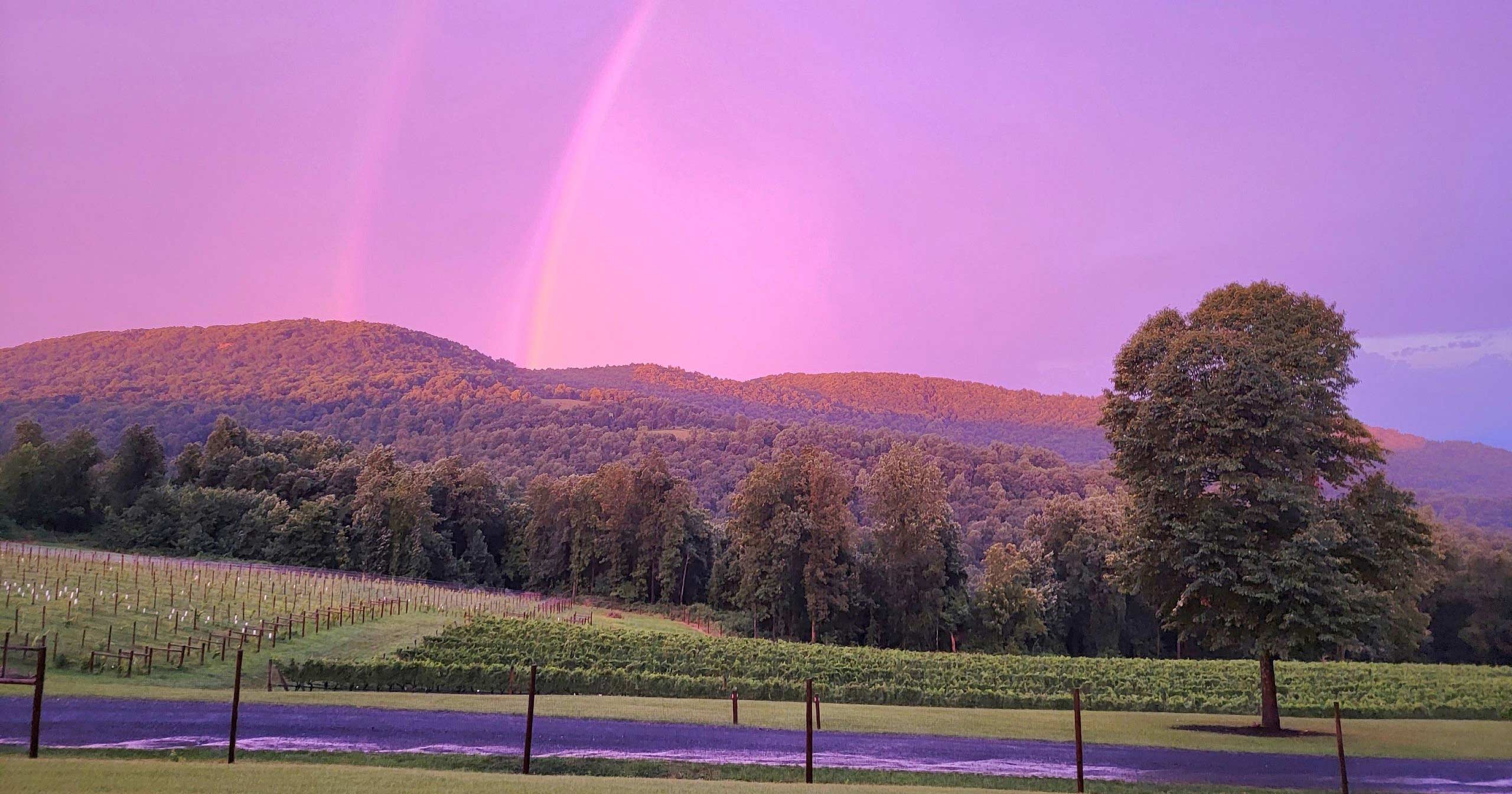 Choose Your Adventure: 9 Fun Wine Experiences Near DC - Vimarsana News