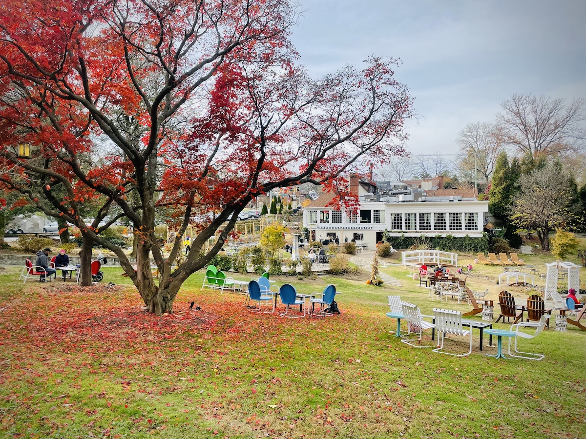 ZinniaGarden - Washingtonian