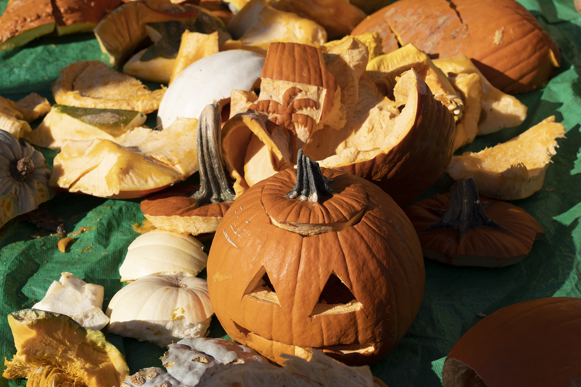 How many pumpkins does it take to be smashing?